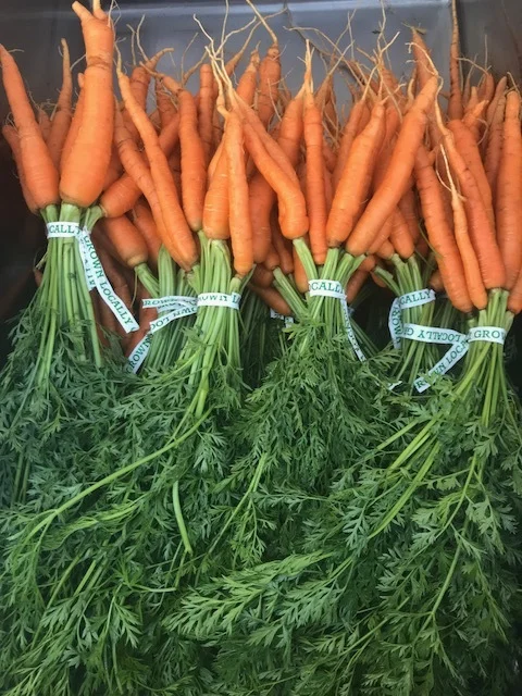 carrots.JPG
