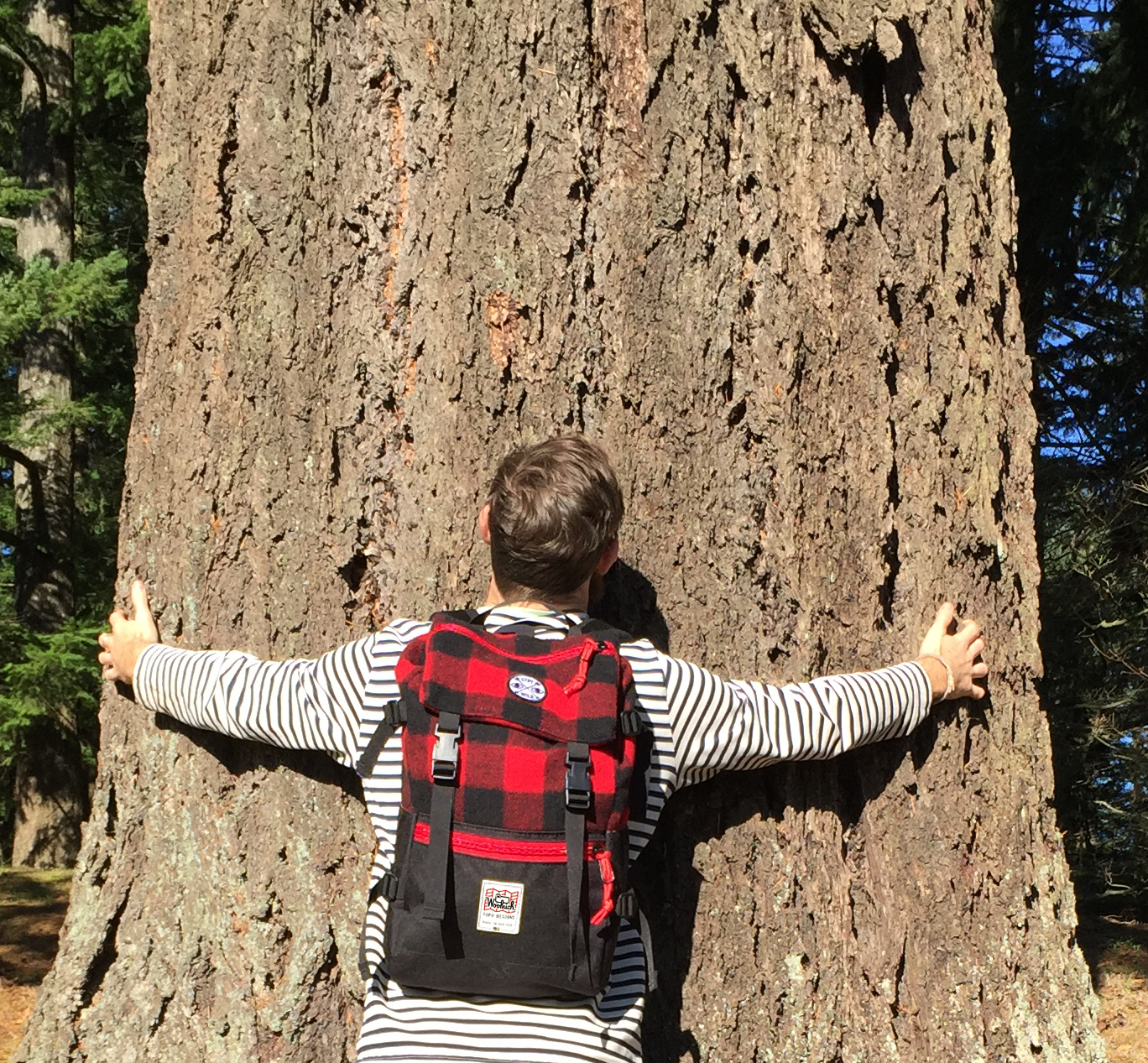 For the tree hugger! Woolrich & Topo Designs collaborative backpack. Made in the USA. Combining heritage lumberjacking with modern urban outdoorsyness!