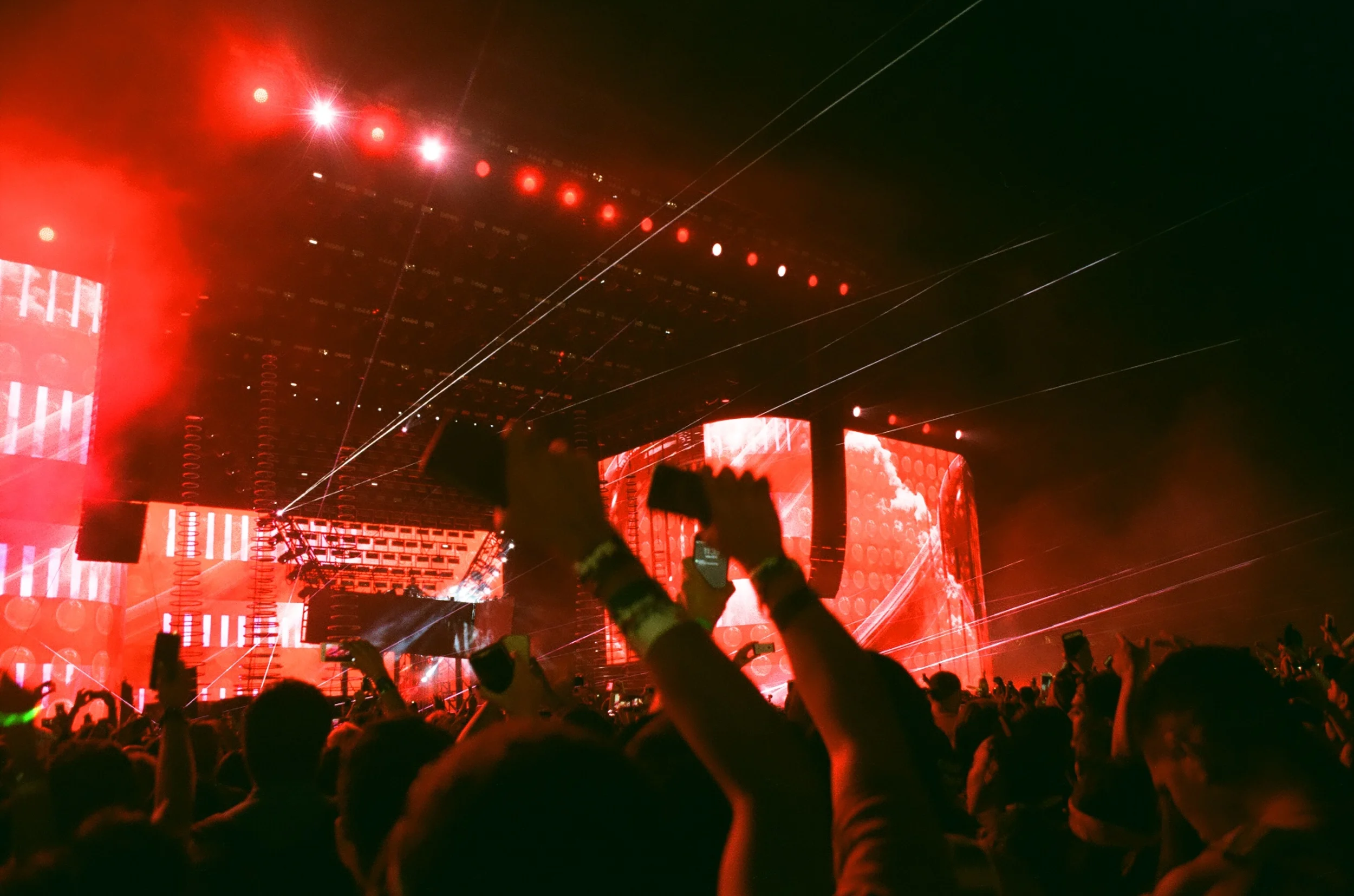 COACHELLA_STAYWILD00050.jpg