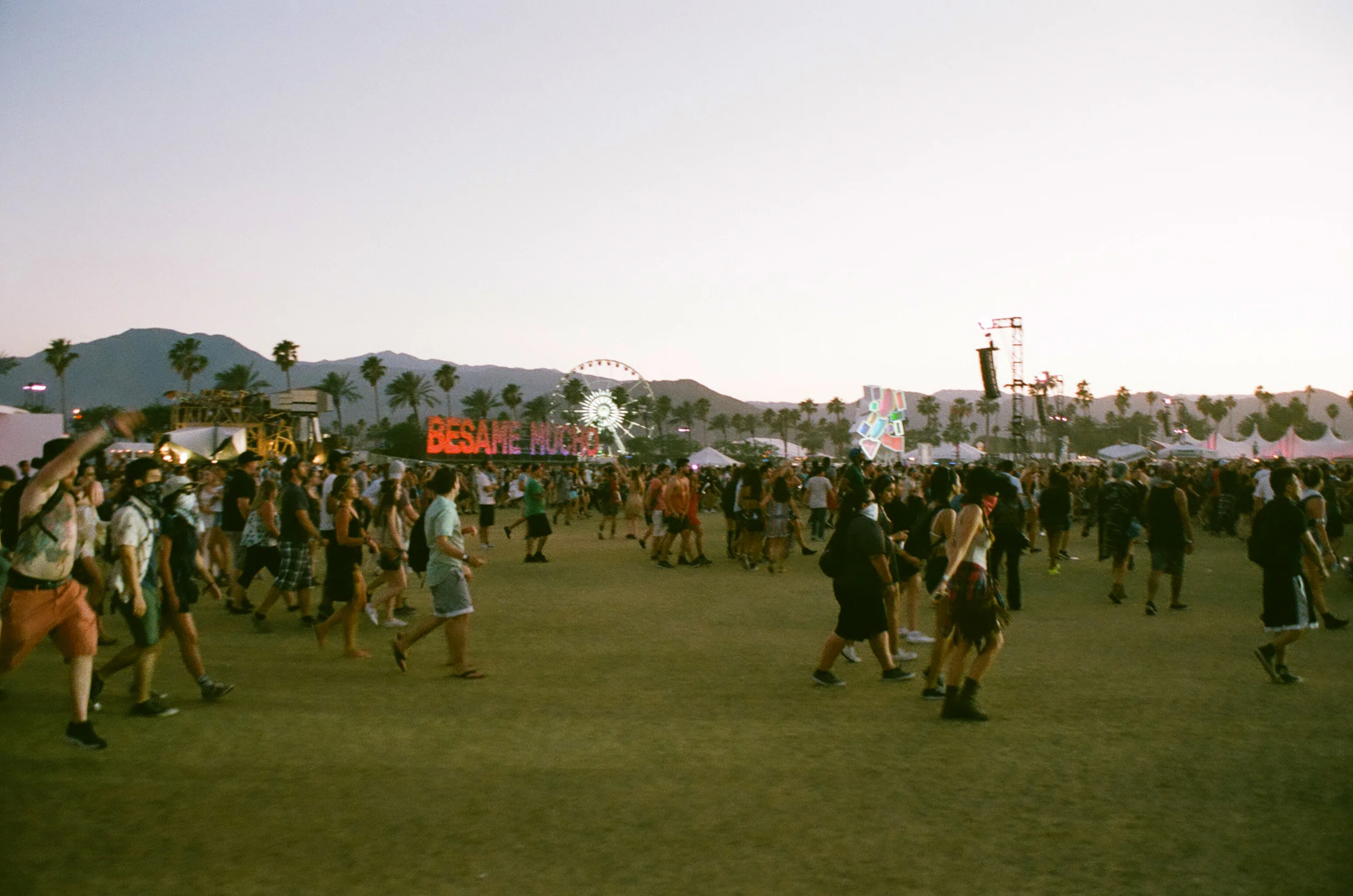 COACHELLA_STAYWILD00043.jpg