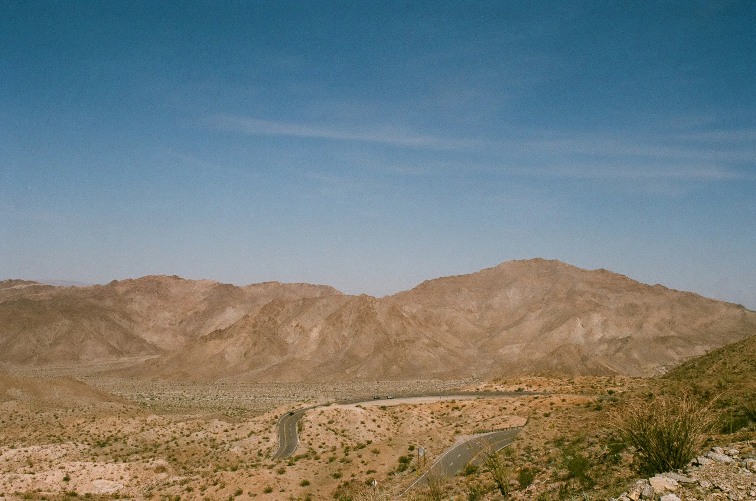 COACHELLA_STAYWILD00016.jpg