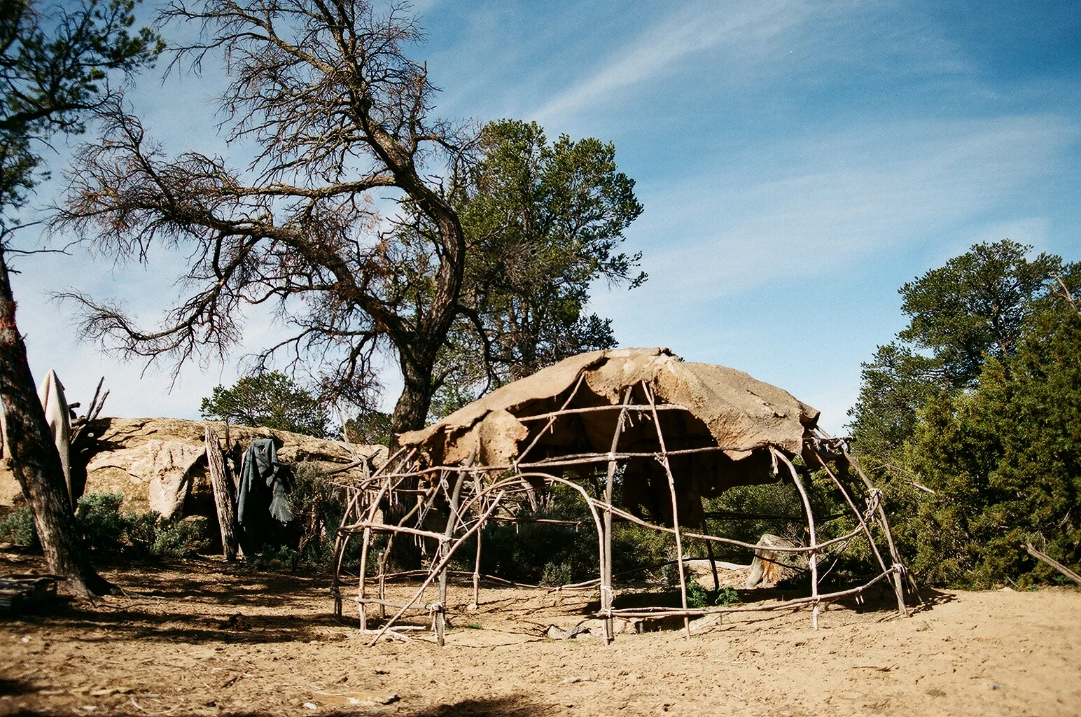 09930019.JPG
