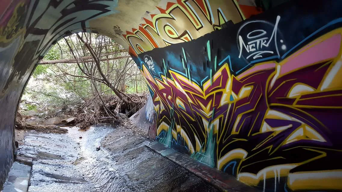 urban nature cave.jpg