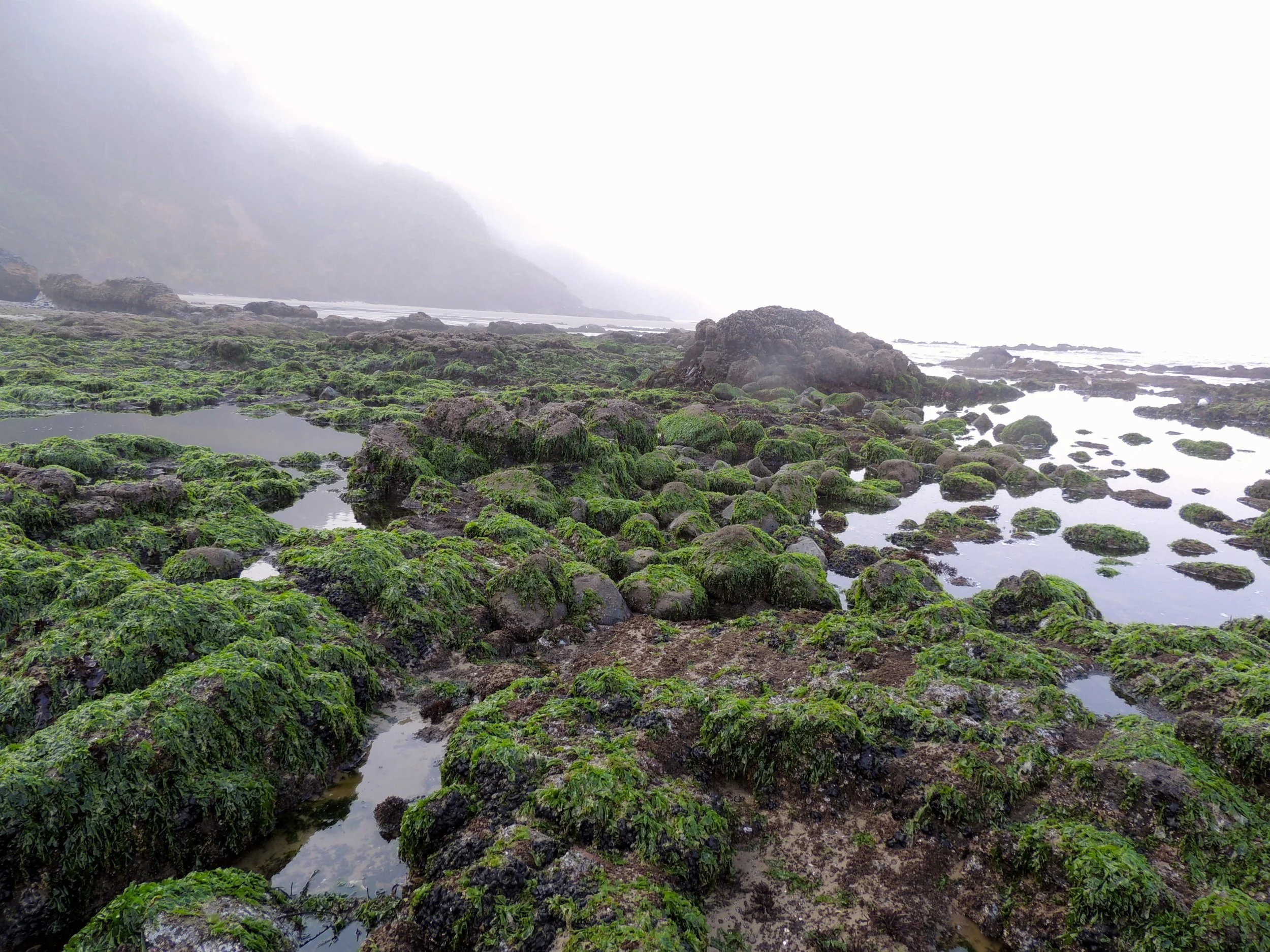DSCN8074.jpg