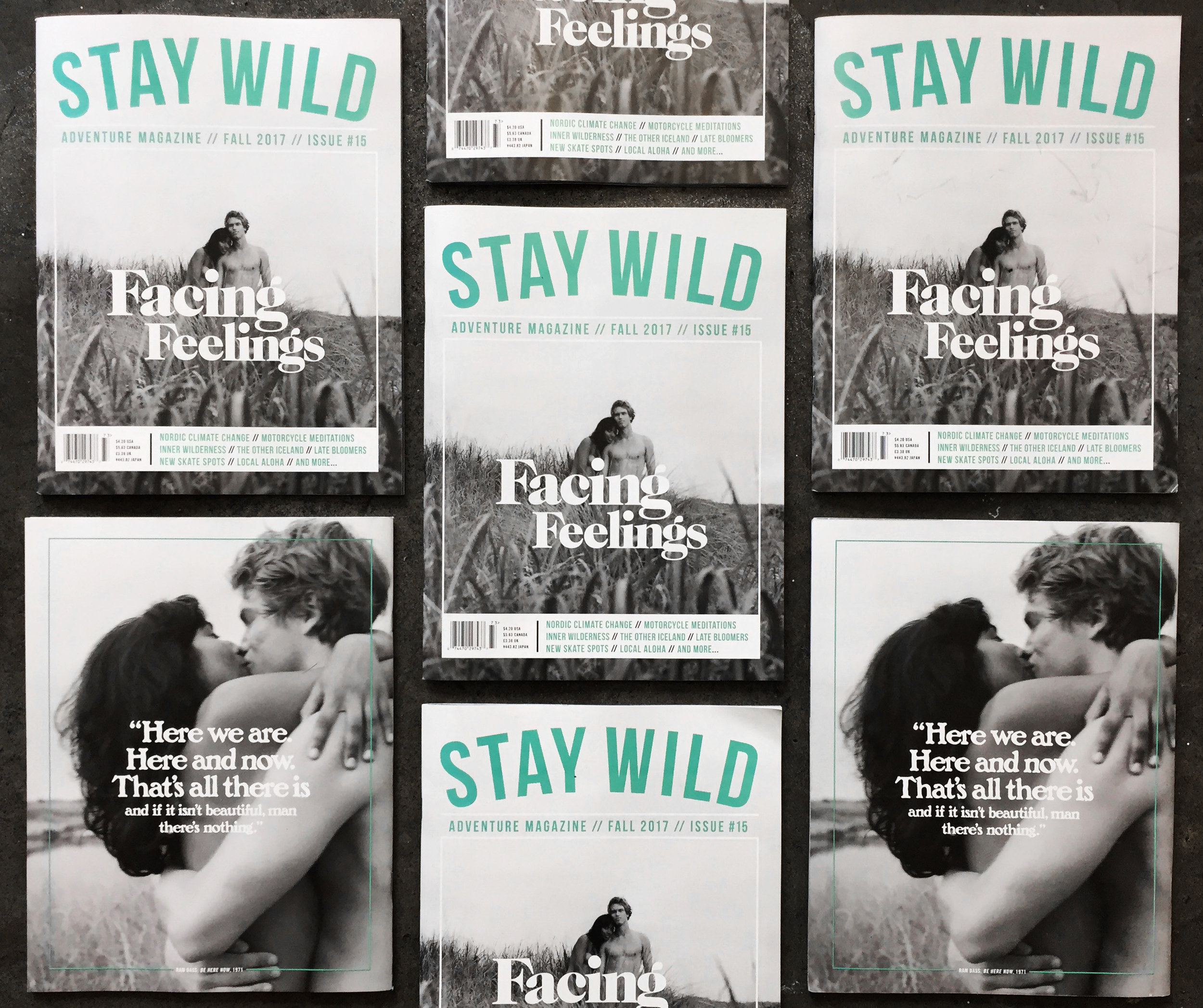 fall 2017 issue.jpg