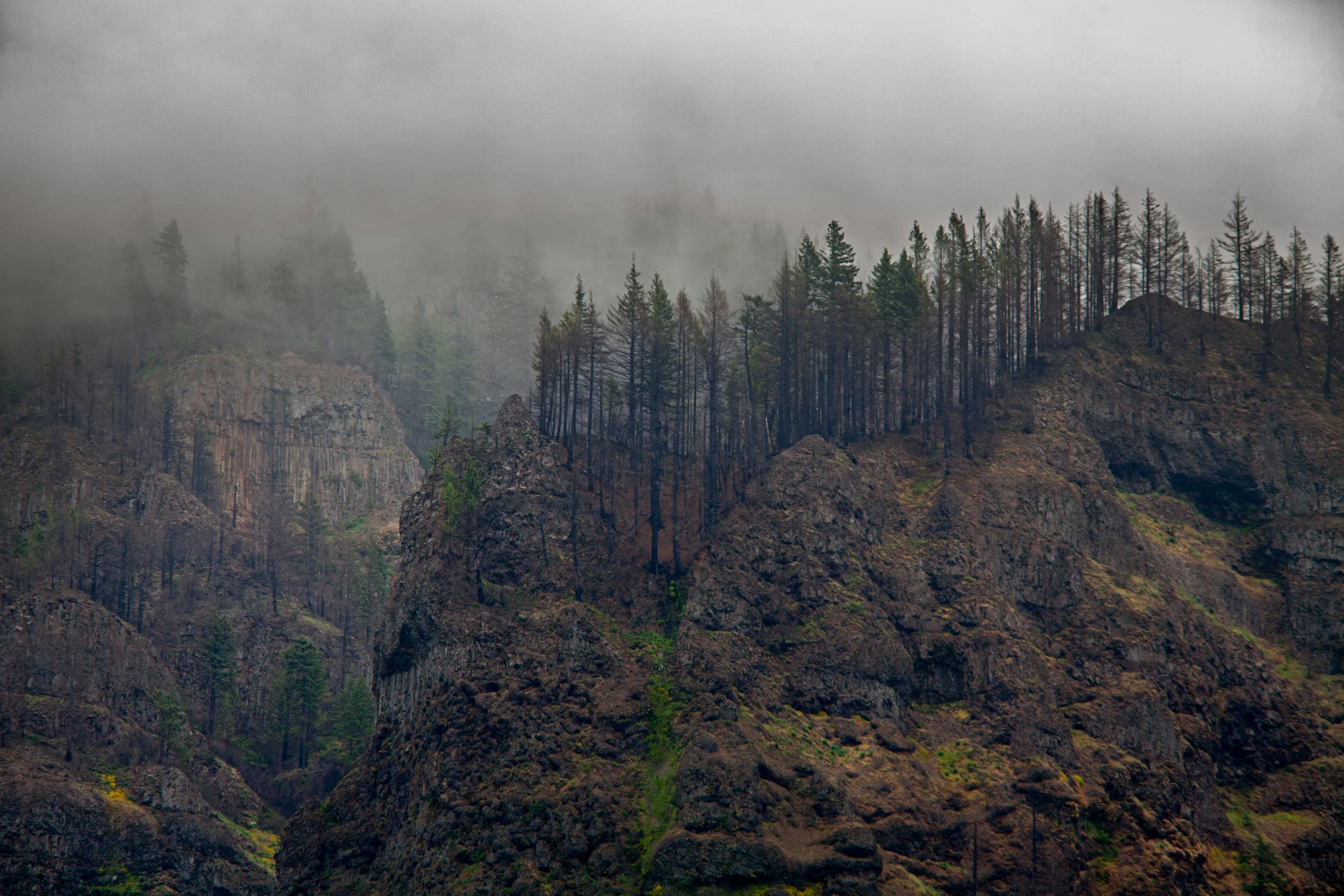 _MG_9790.jpg