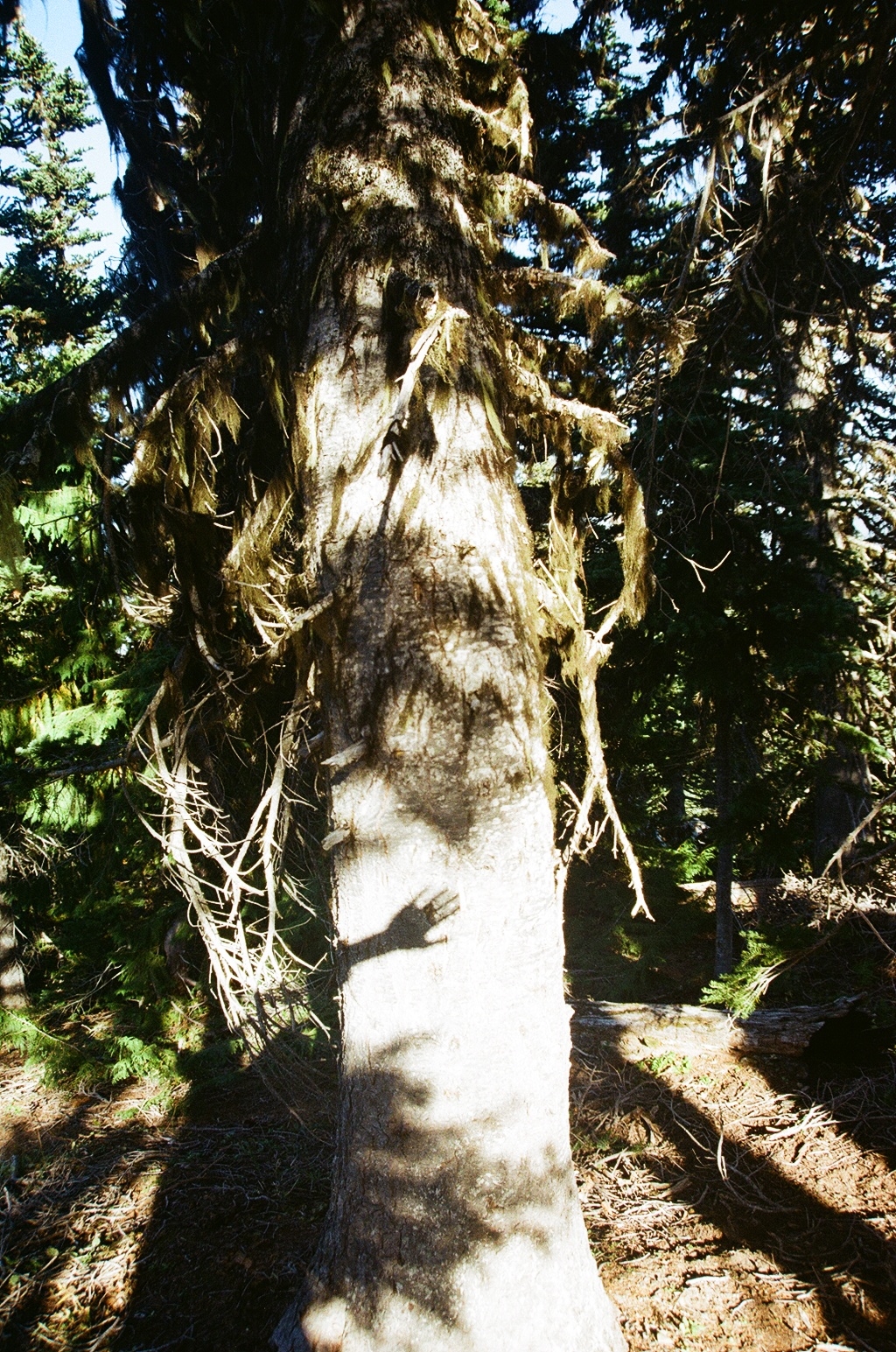 000011860010.jpg