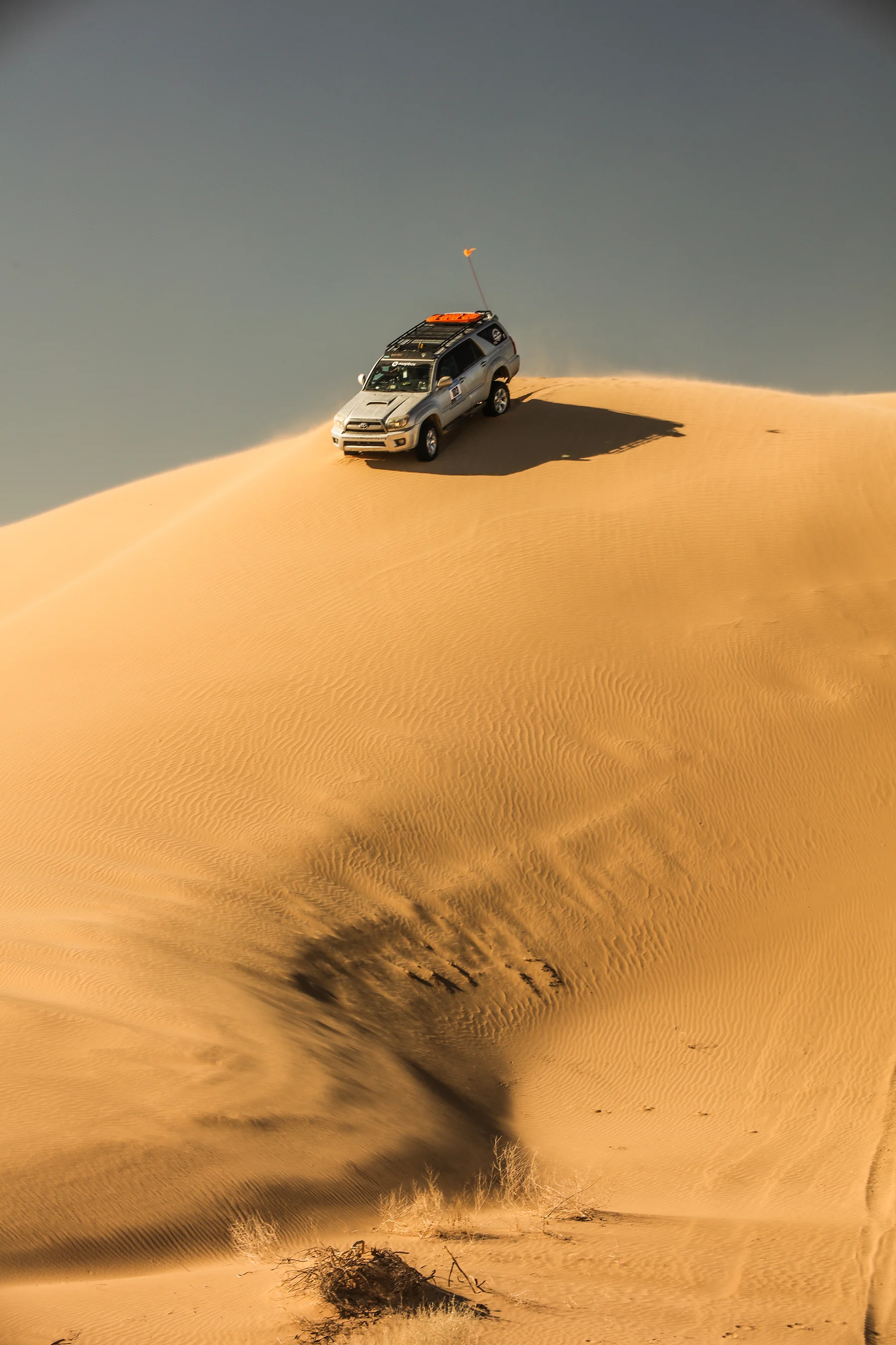 rally3.jpg