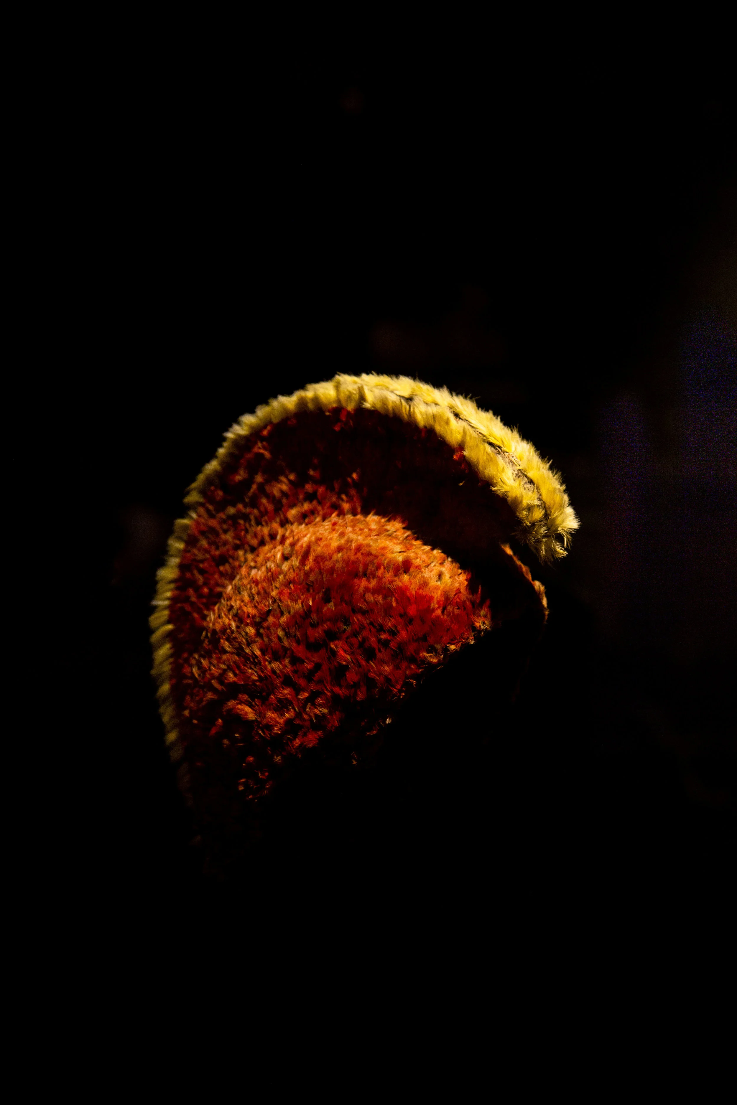 9C5A2437.JPG