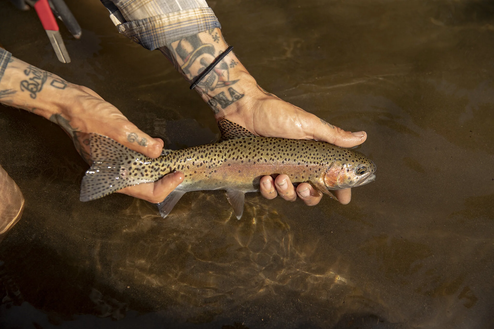 COAL_SS19_TENKARA_12.jpg