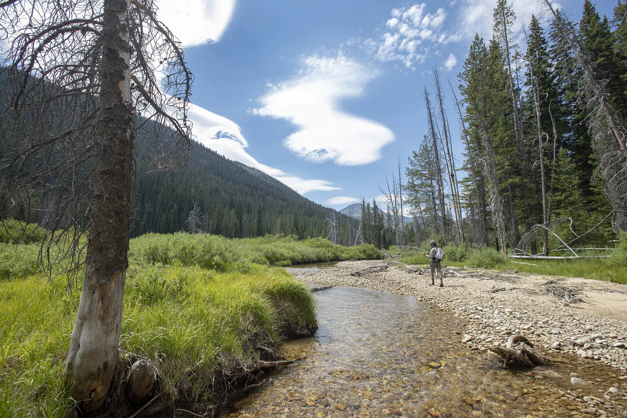 SAWTOOTH_COLLECTION_0076.jpg