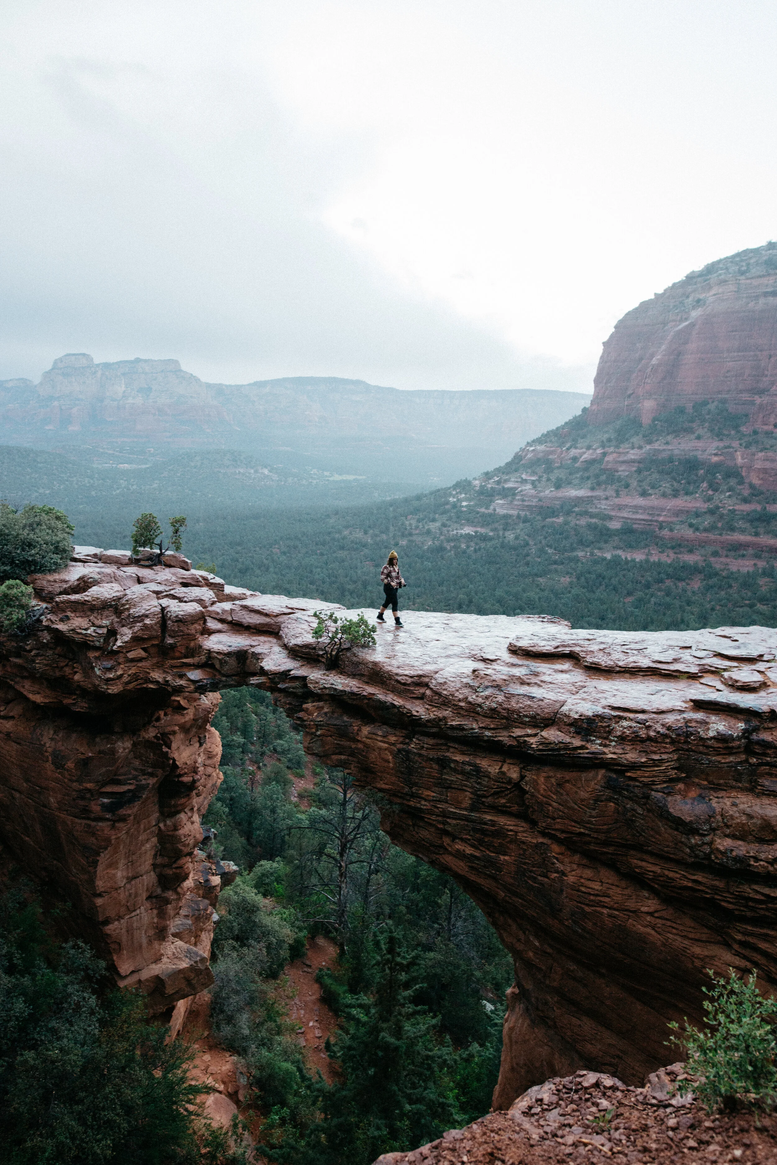 Laura Goldenberger Stay Wild_-70.jpg