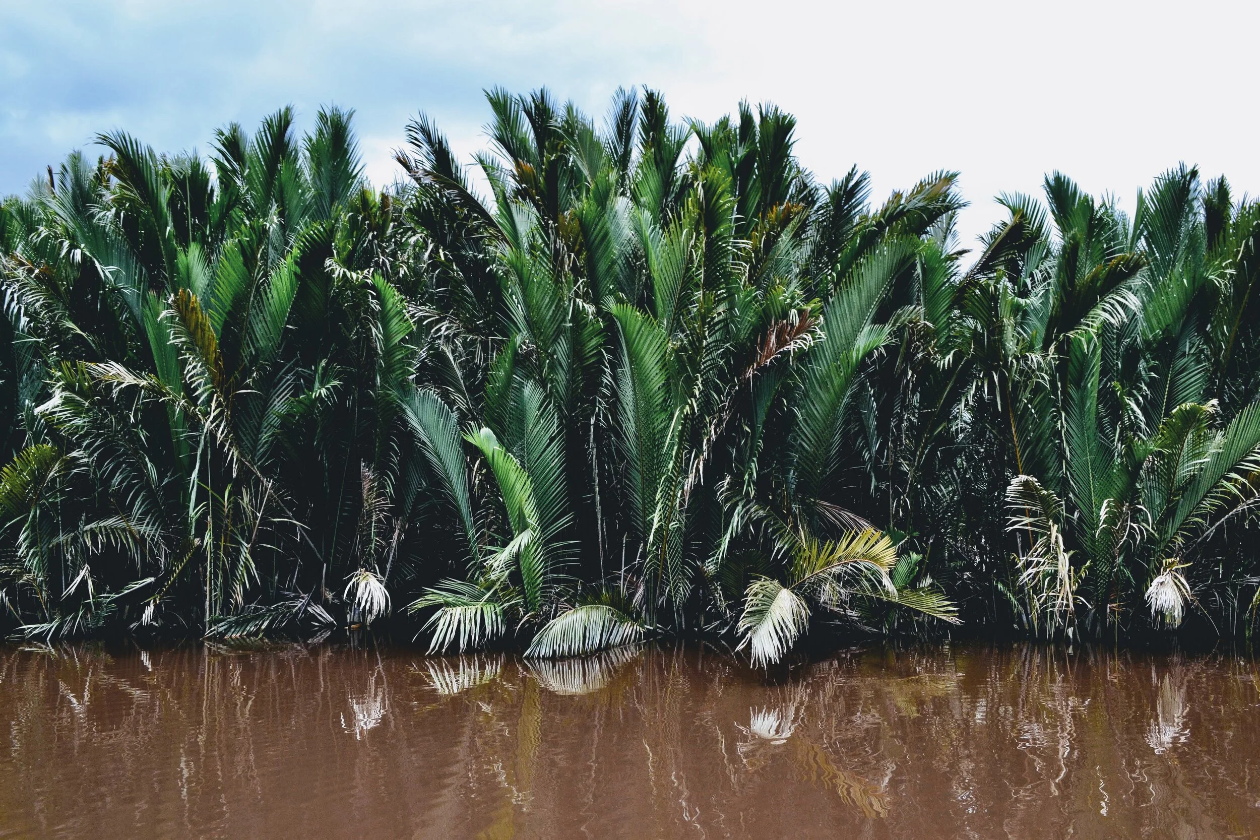 Borneo, Not Bali — Stay Wild Magazine