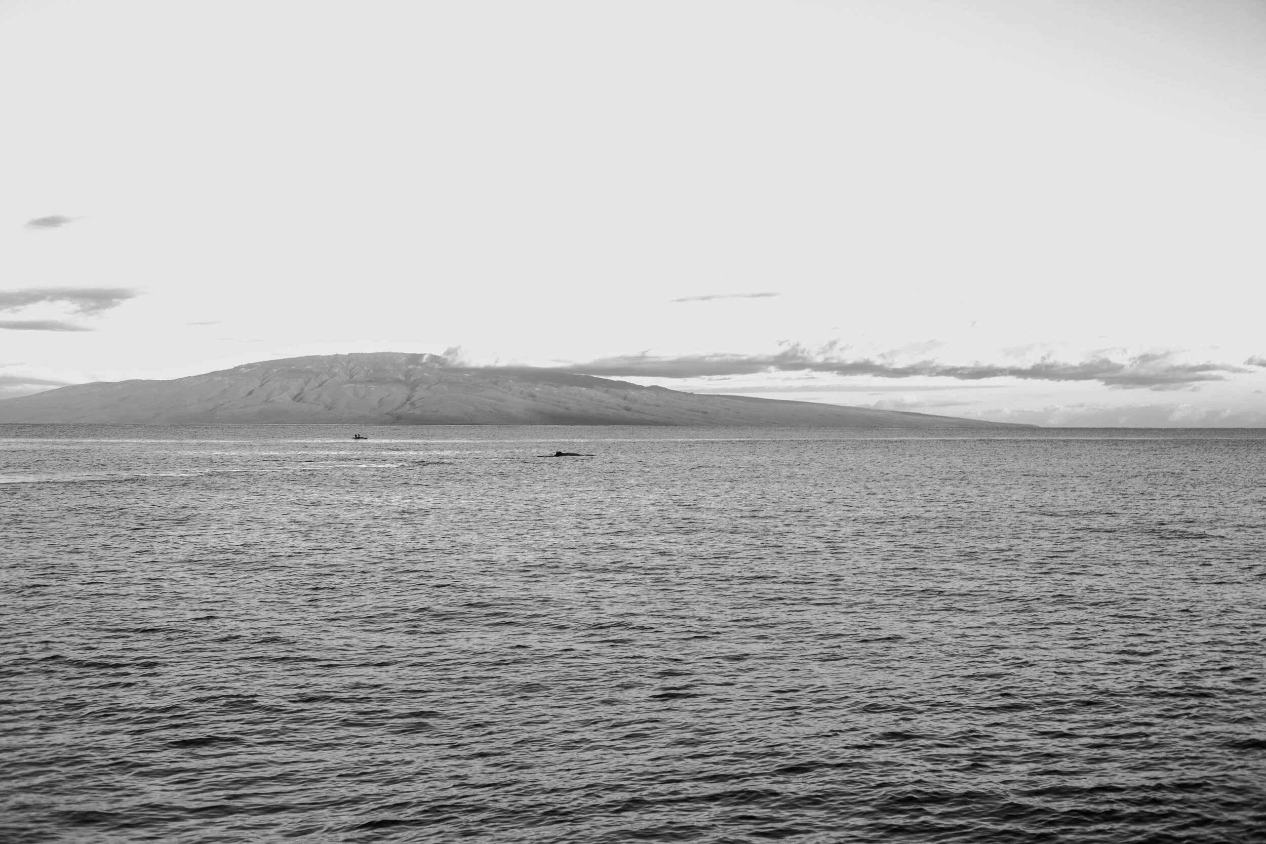 9C5A8434.JPG