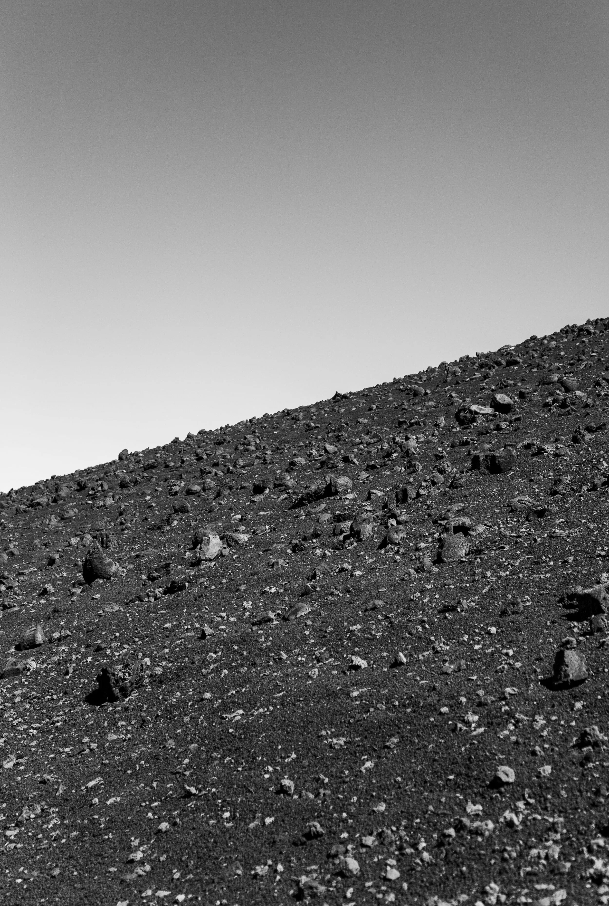 9C5A8385.JPG