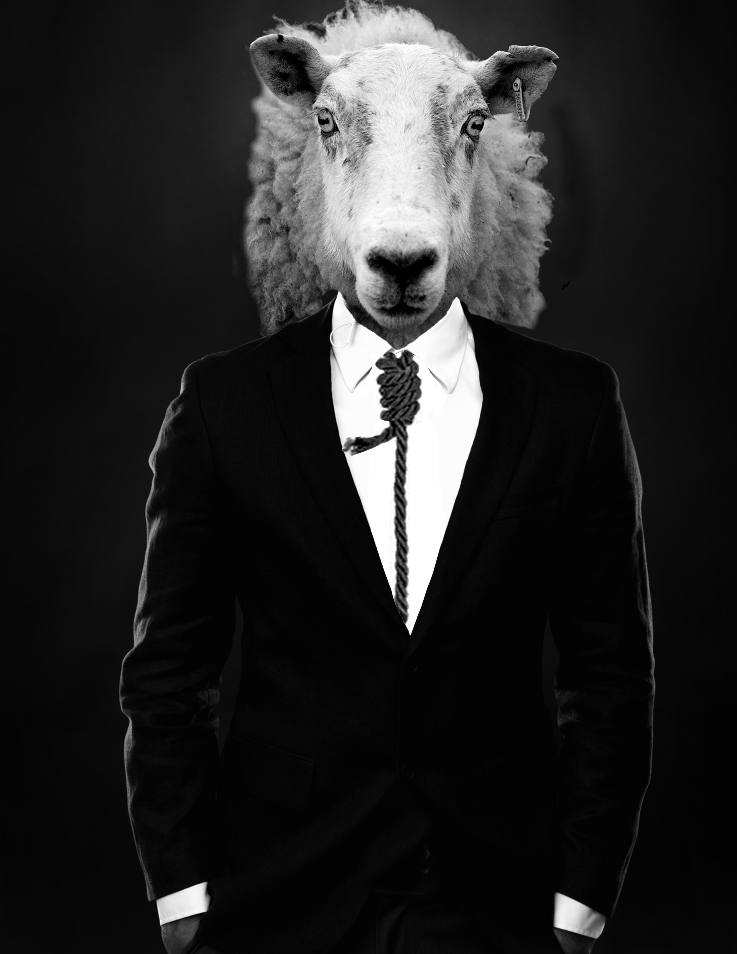 BUSINESSHEEP.jpg