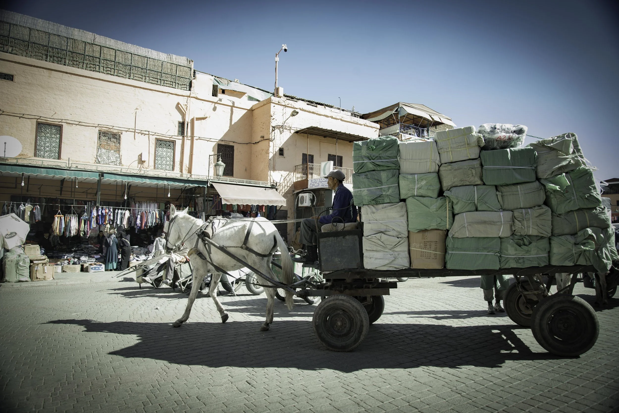 MEDINA-9582.jpg