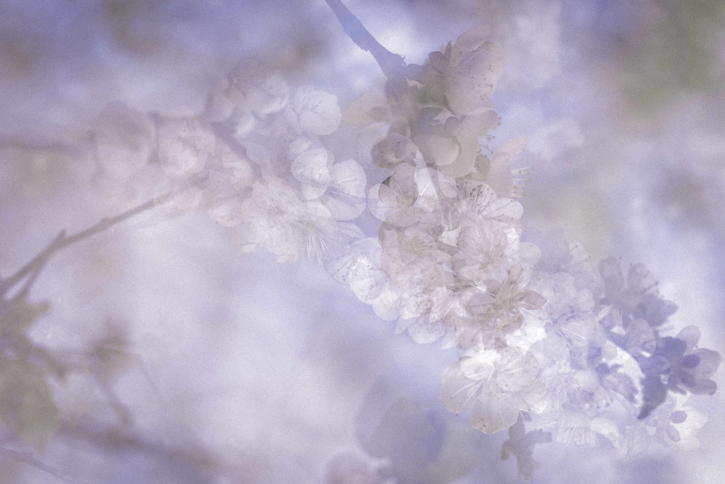 SPRING-9478.jpg