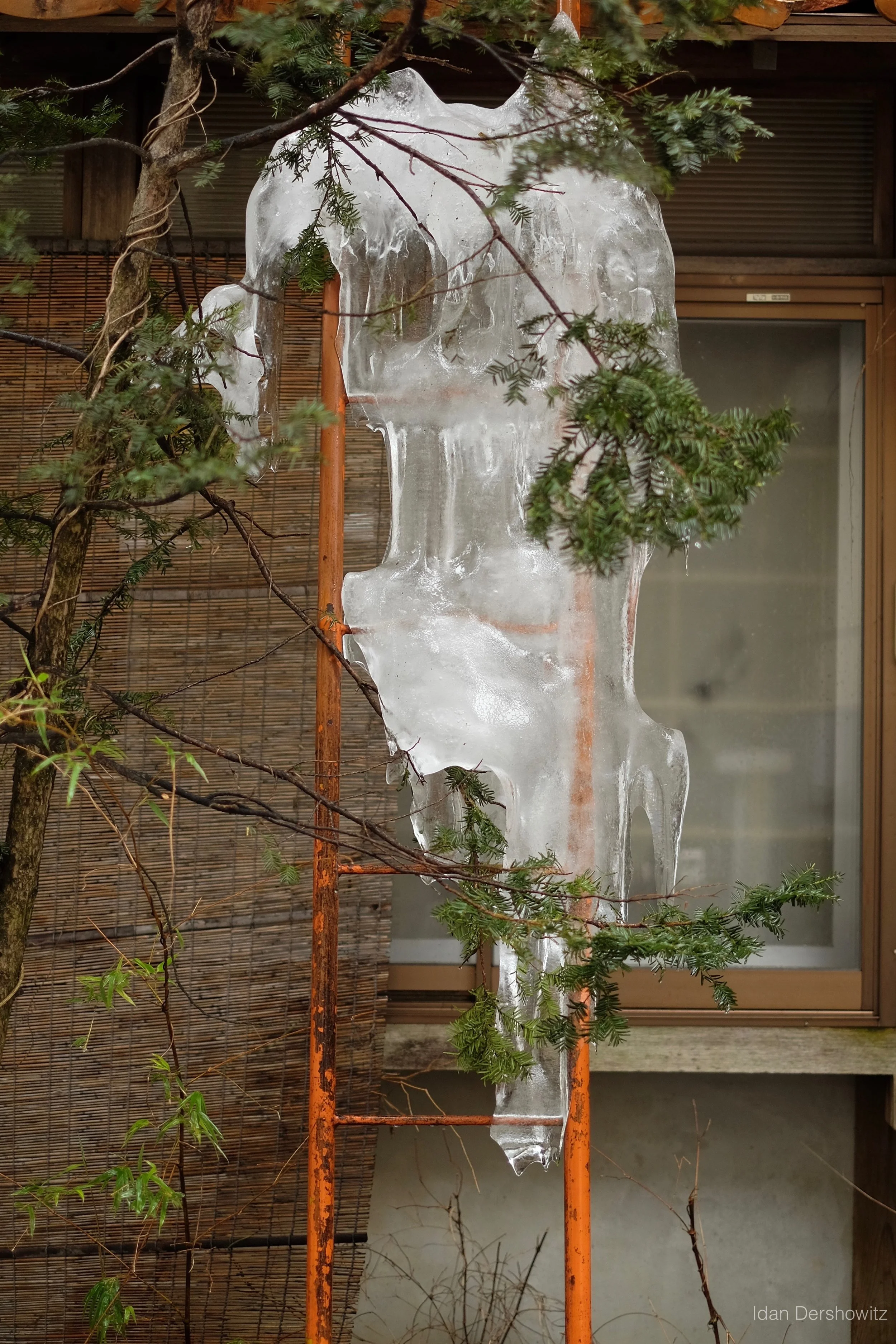 DSCF3095.jpg