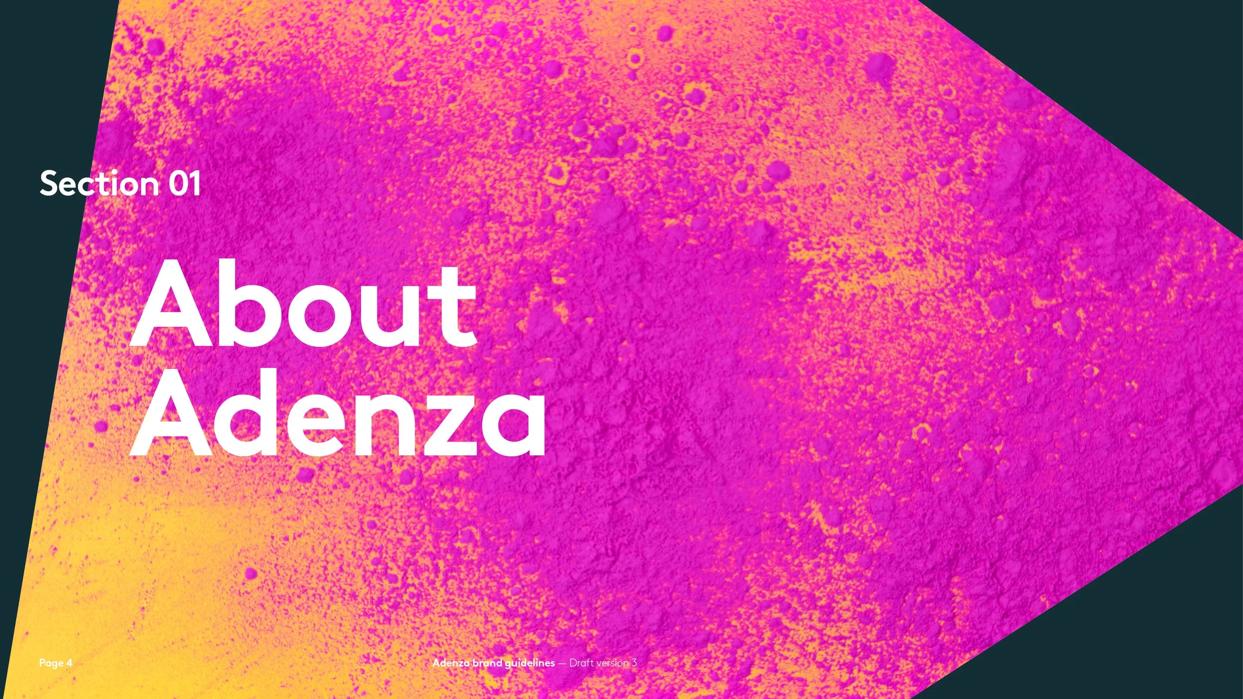 38690_Adenza_Brand_Guidelines_v34.jpg