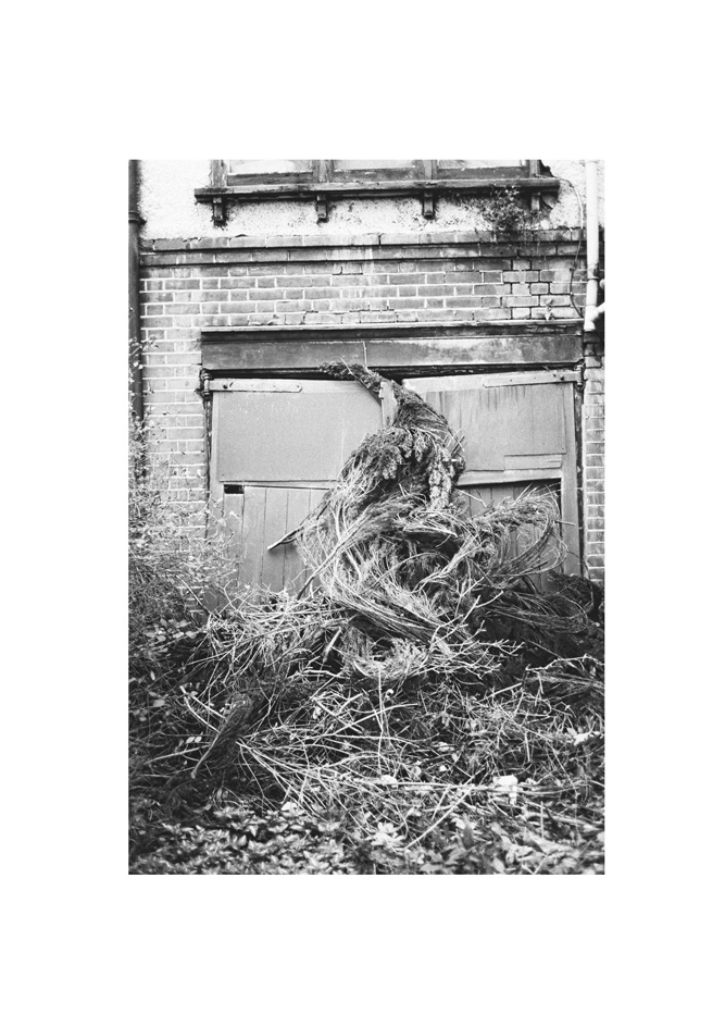 " forgotten "