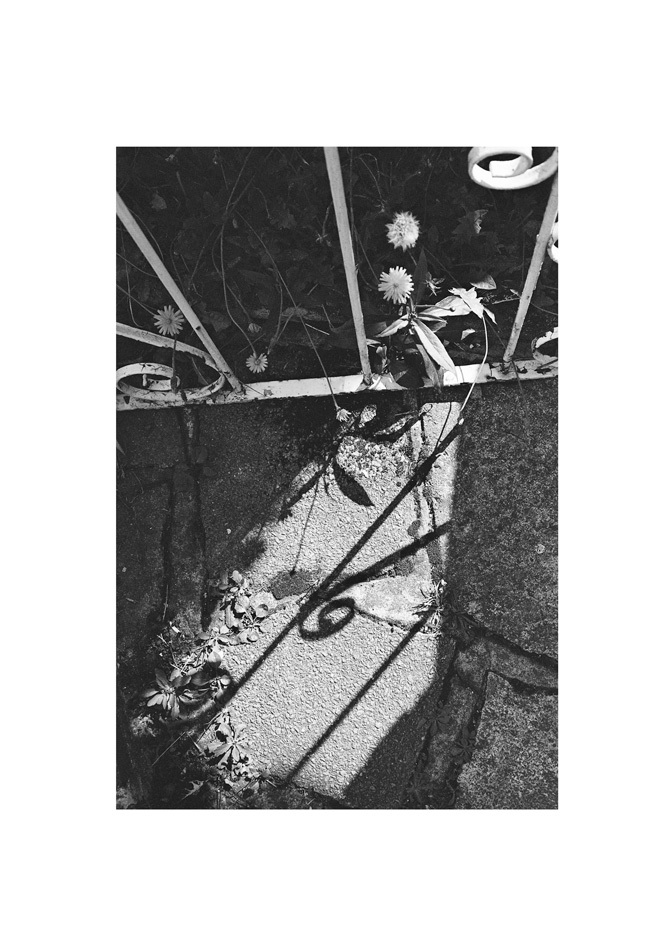 " lonely "