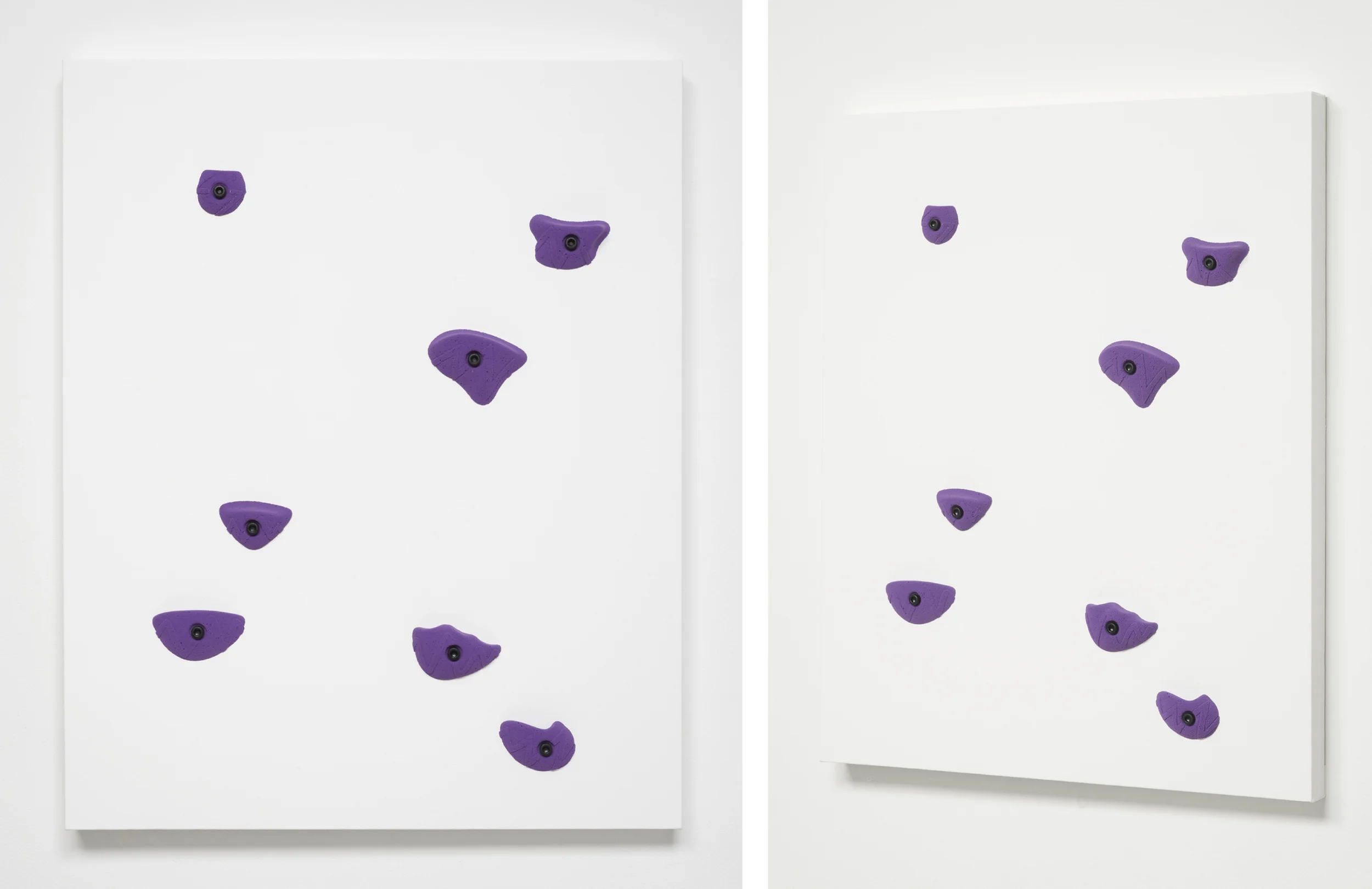 Untitled 2012 Climbing holds, paint, canvas 100 x 80 x 8 cm / 39.3 x 31.4 x 3.1 in 