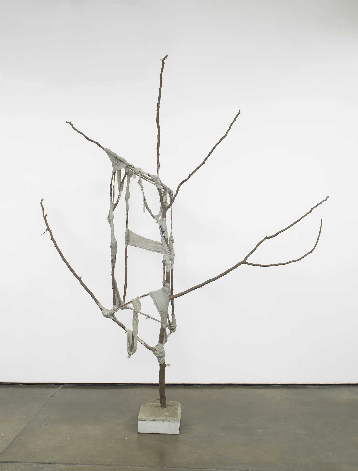 Jungle Camp (Spax Galore) 2012 Concrete, metal, screws, plaster bandages, branches 266 x 250 x 71 cm / 104.7 x 98.4 x 28 in