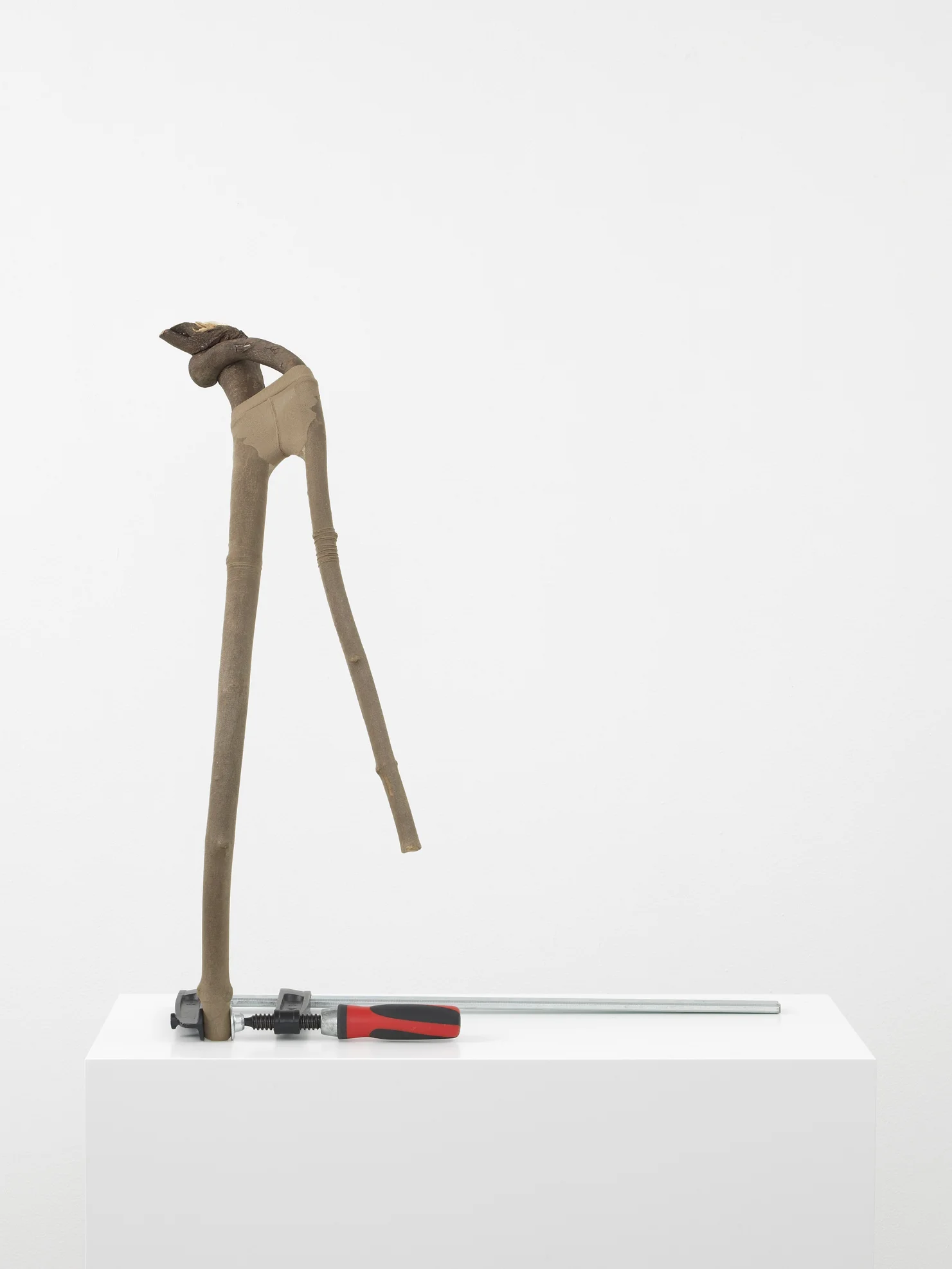 Twiggy 2012 Branch, tights, metal clamp, custom made plinth 68 x 62 x 38 cm / 26.7 x 24.4 x 14.9 in Plinth: 103 x 72 x 32 cm / 40.5 x 28.3 x 12.5 in