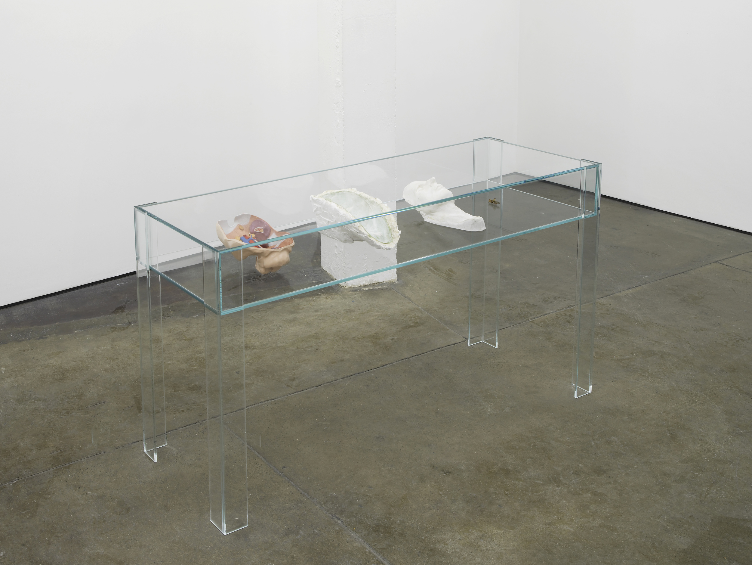      Untitled Vitrine   2012   Plastic anatomical model, silicone mould and plaster cast of a death mask, grasshopper with human hair antennae, glass vitrine   92 x 57.5 x 170 cm / 36.2 x 22.6 x 67 in  
