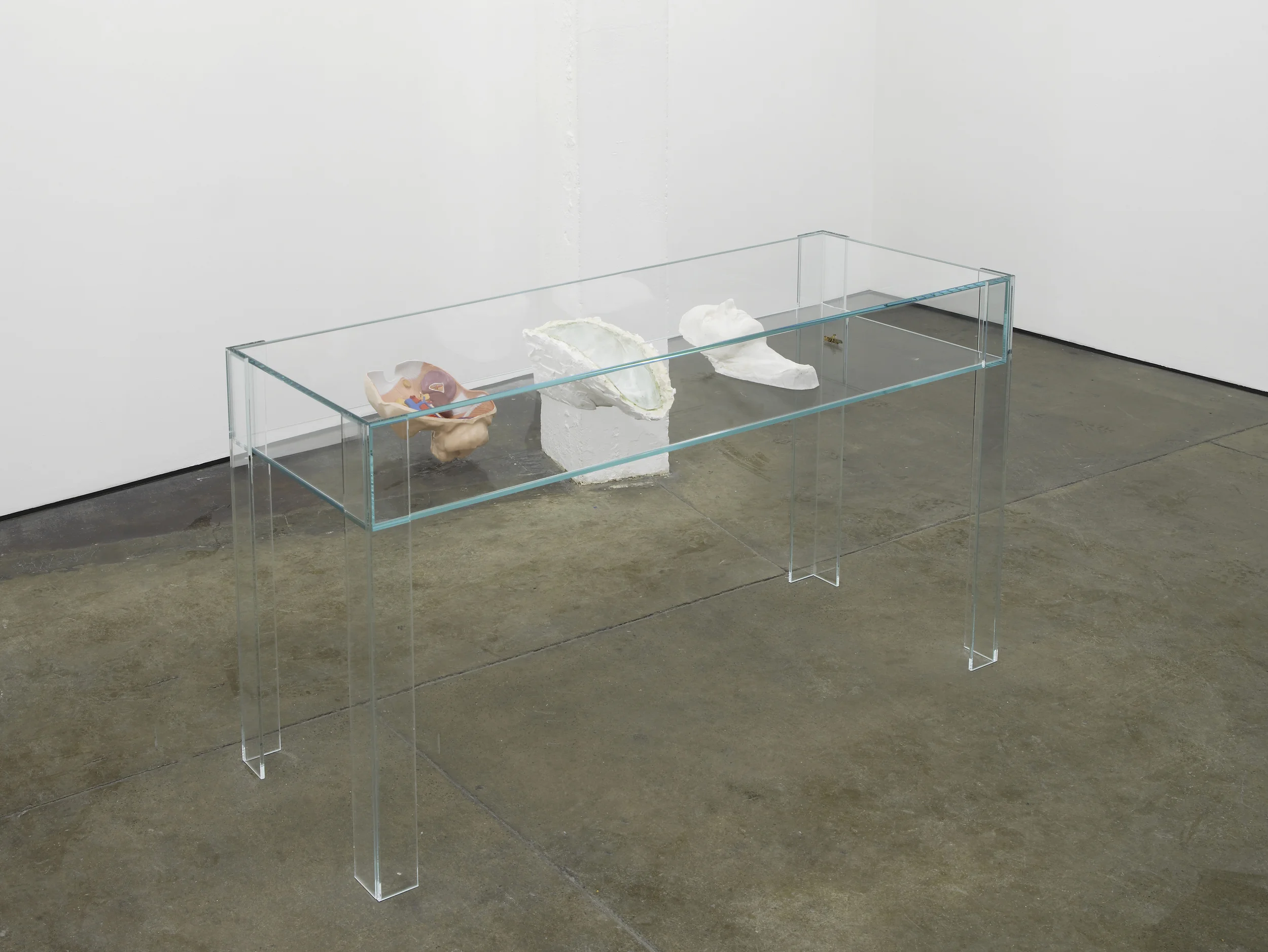 Untitled Vitrine 2012 Plastic anatomical model, silicone mould and plaster cast of a death mask, grasshopper with human hair antennae, glass vitrine 92 x 57.5 x 170 cm / 36.2 x 22.6 x 67 in