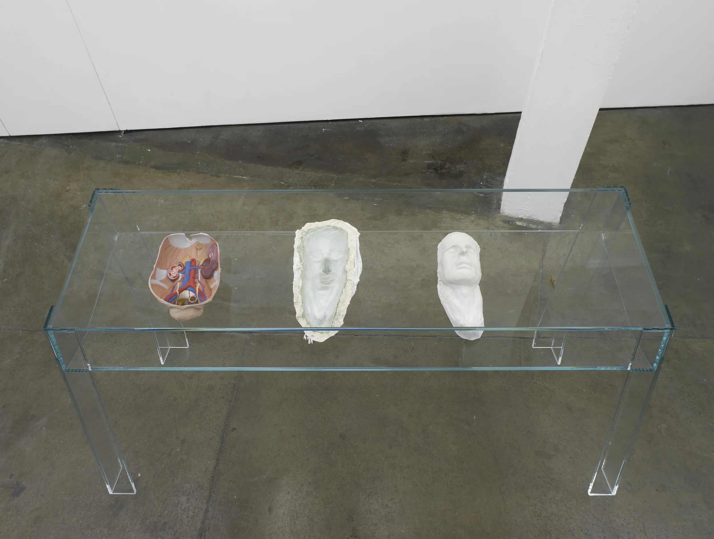 Untitled Vitrine 2012 Plastic anatomical model, silicone mould and plaster cast of a death mask, grasshopper with human hair antennae, glass vitrine 92 x 57.5 x 170 cm / 36.2 x 22.6 x 67 in