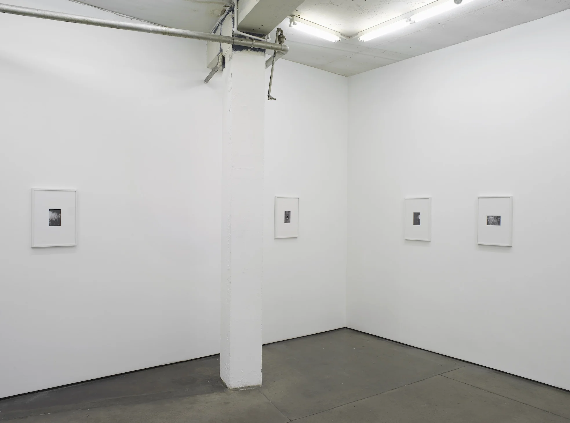 Installation view Herald St, London