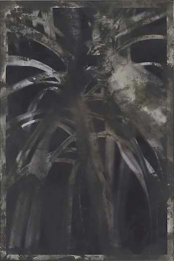 Painted Plant 2011 Unique c-print with ink, dyes and mixed media 15.2 x 10 cm / 6 x 4 in