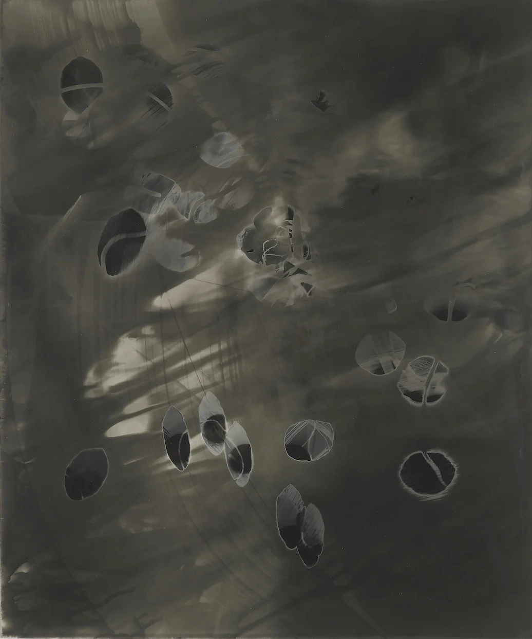 Untitled 2011 Unique silver gelatin print 61 x 50.8 cm / 24 x 20 in