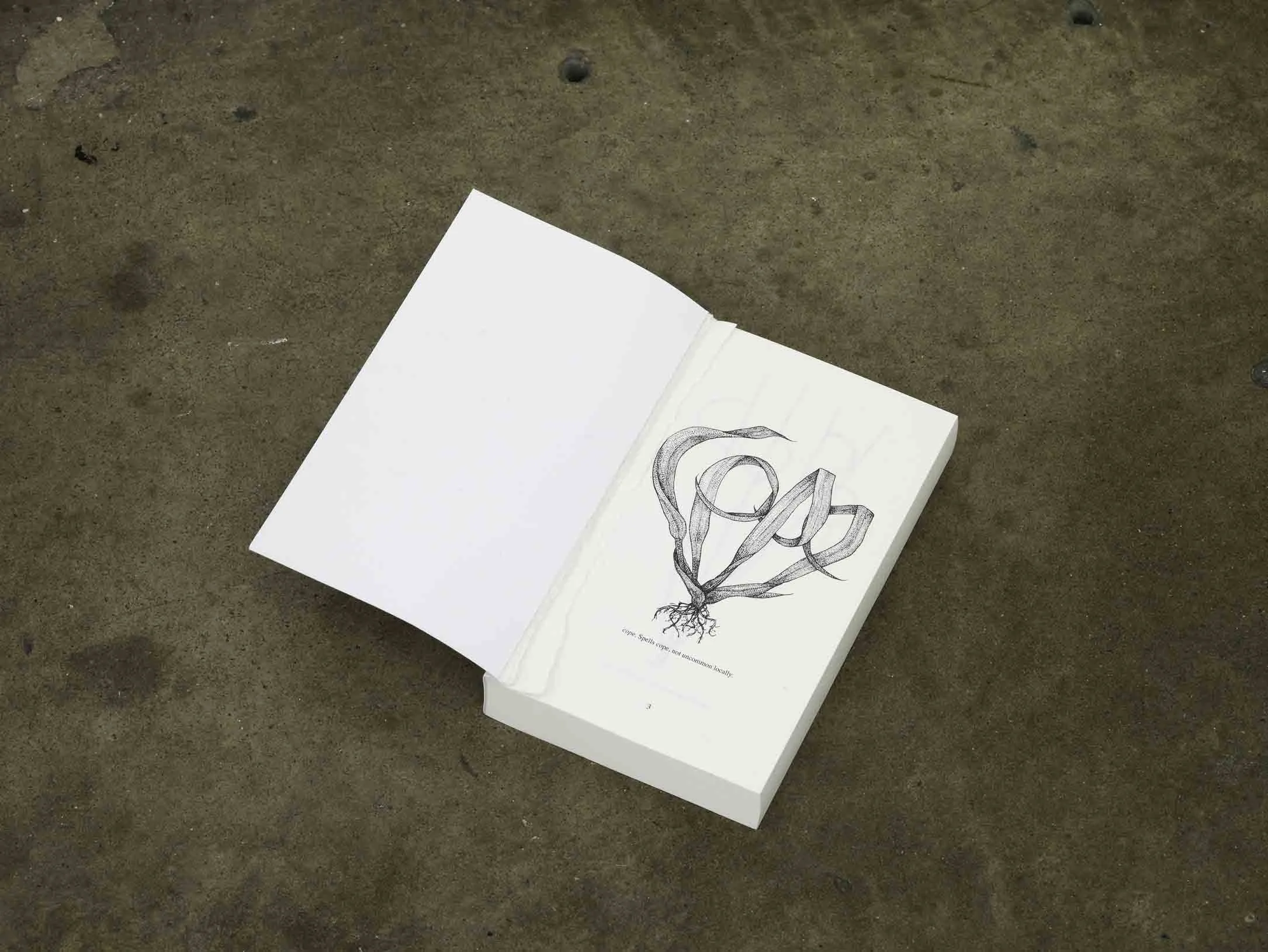 cope paperback book