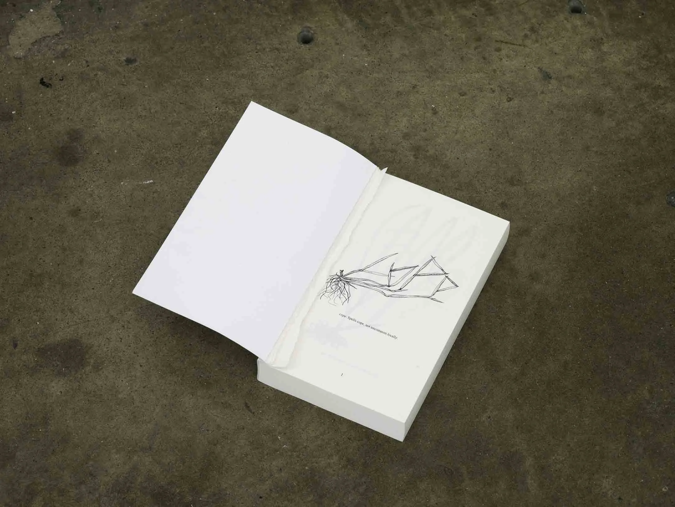 cope paperback book