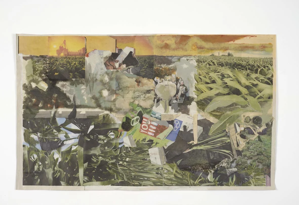 The road to water 2010 Acrylic on newsprint 58 x 99 cm / 22.8 x 38.9 in