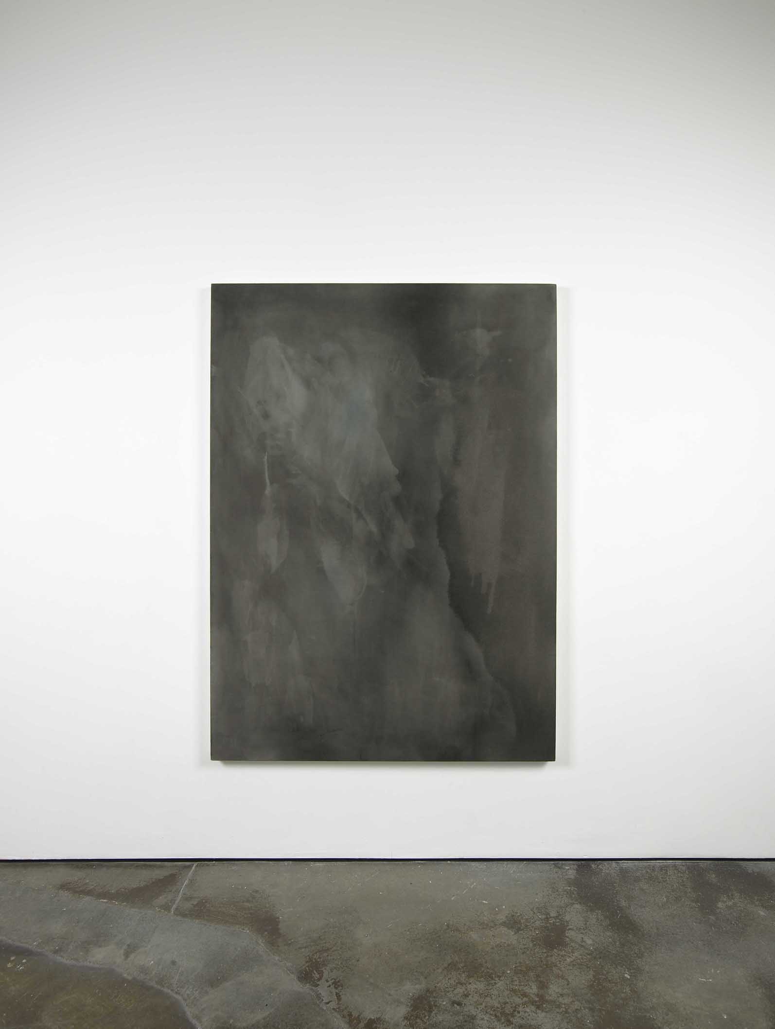     Padraig Timoney Broken two way mirror N°2 2009 Rabbit skin glue and pigment on canvas 115 x 163 cm / 45.2 x 64 In 