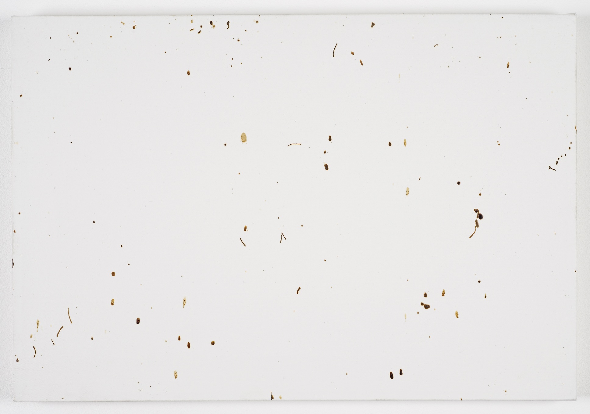     Bee Painting, Small Screen IV 2009 Bee droppings on grounded canvas 41 x 60 cm 