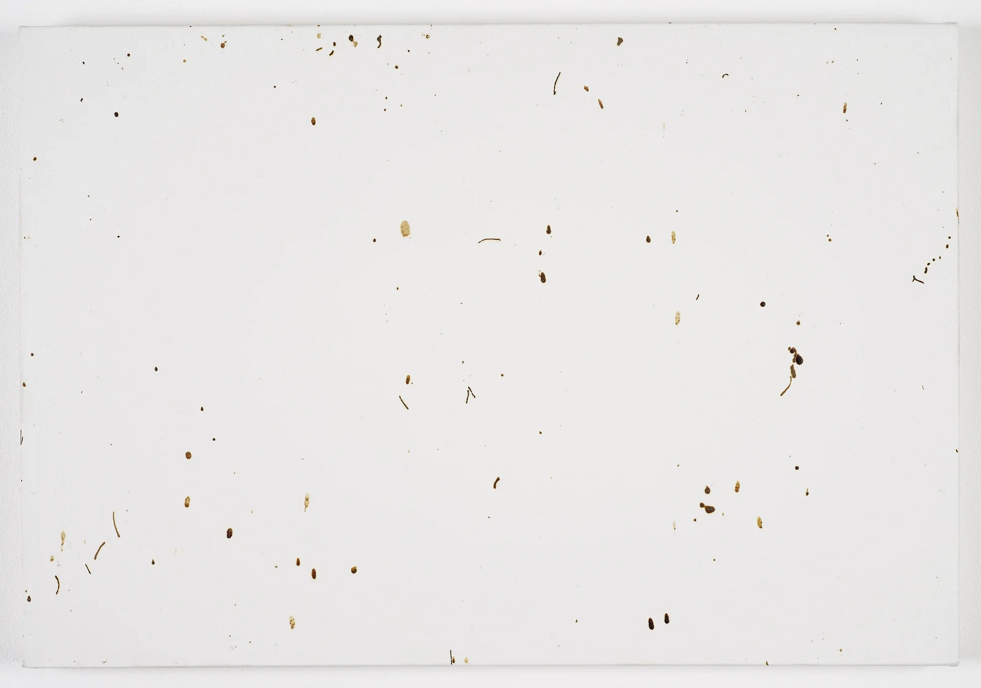 Bee Painting, Small Screen IV 2009 Bee droppings on grounded canvas 41 x 60 cm