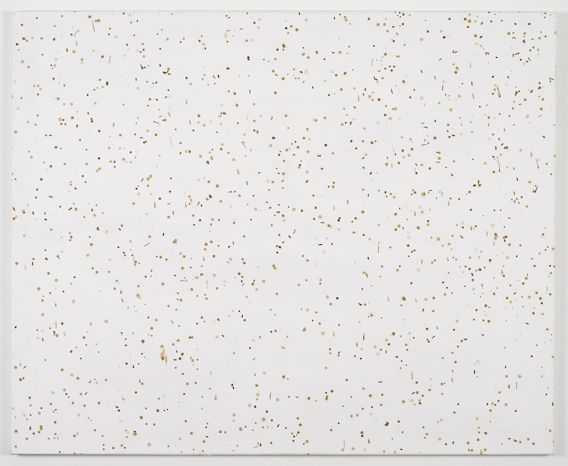     Bee Painting, Medium Screen II 2009 Bee droppings on grounded canvas 110 x 90 cm 