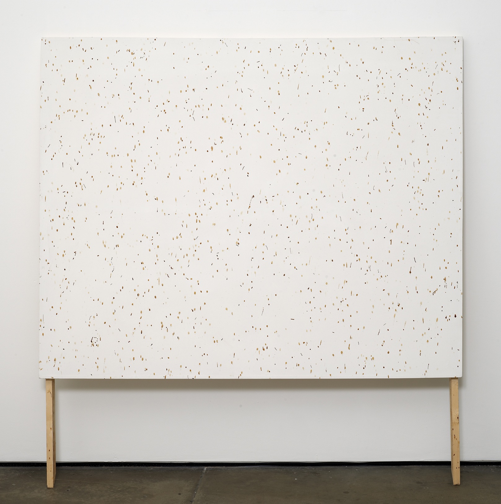     Bee Painting, Large Screen I 2009 Bee droppings on grounded canvas 148 x 120 cm 