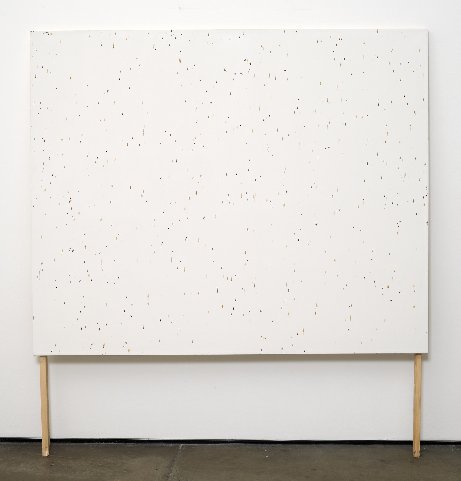      Bee Painting, Large Screen II   2009   Bee droppings on grounded canvas   148 x 120 cm  