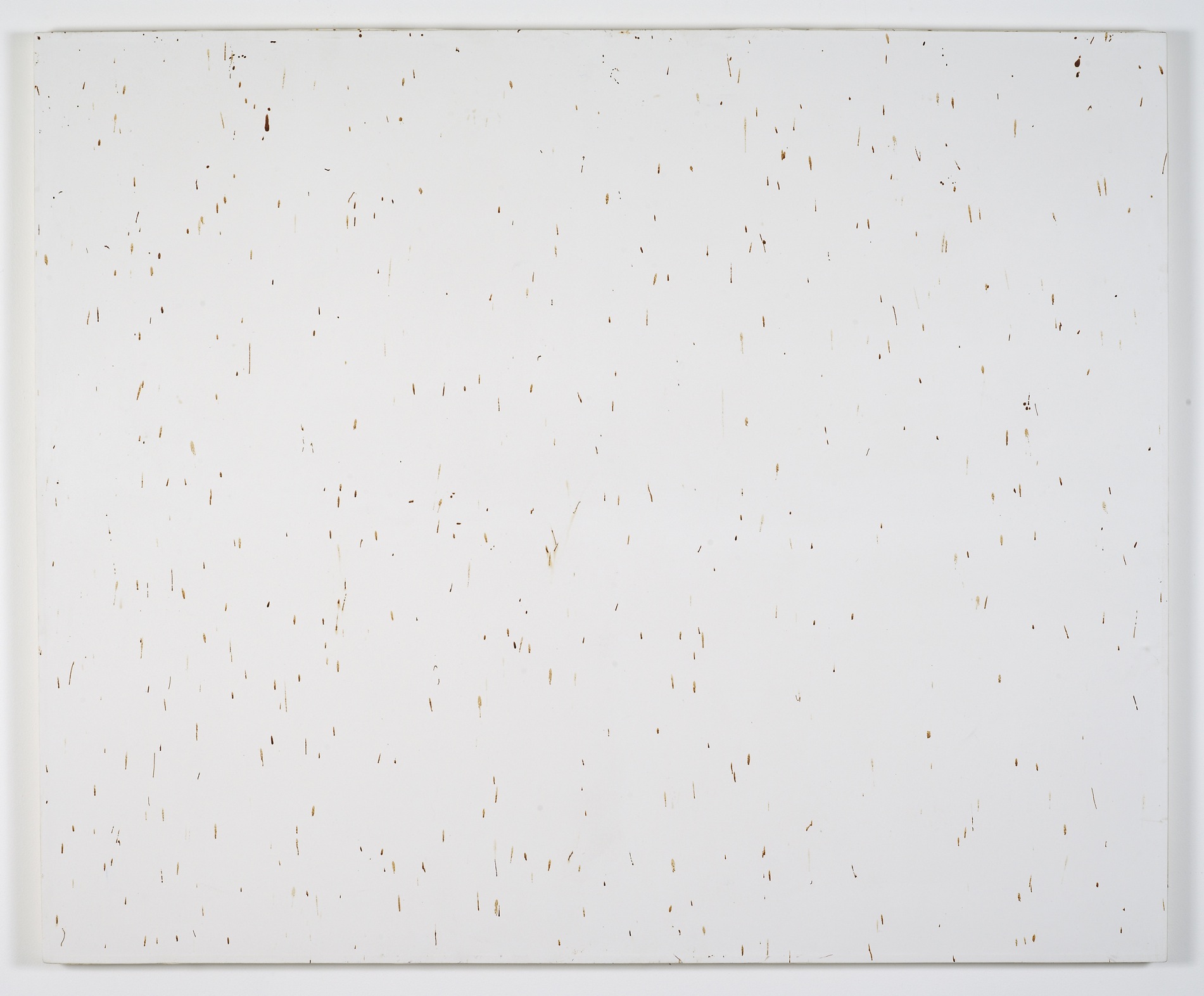      Bee Painting, Large Screen III   2009   Bee droppings on grounded canvas   148 x 120 cm  