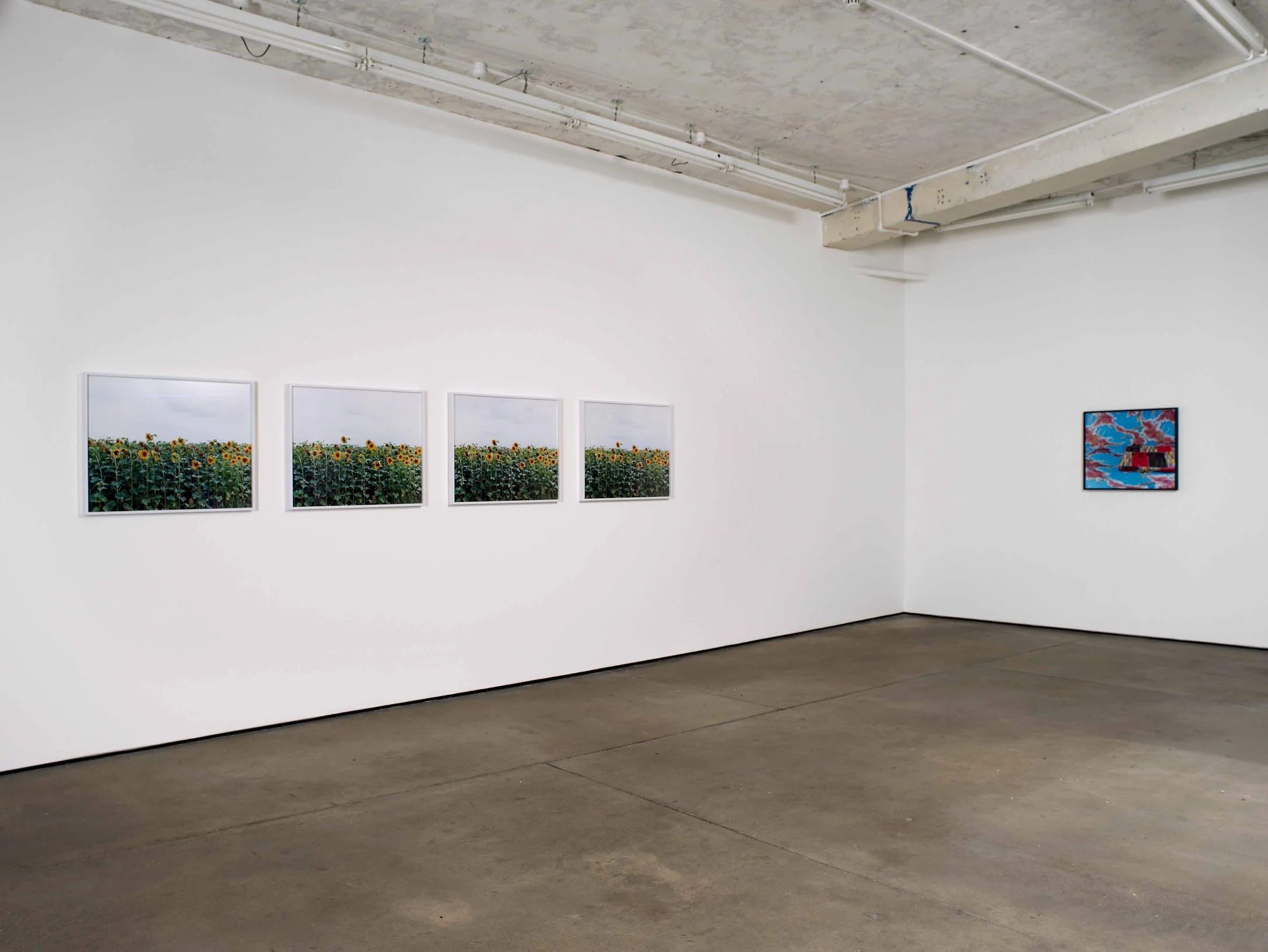 Installation View Herald St