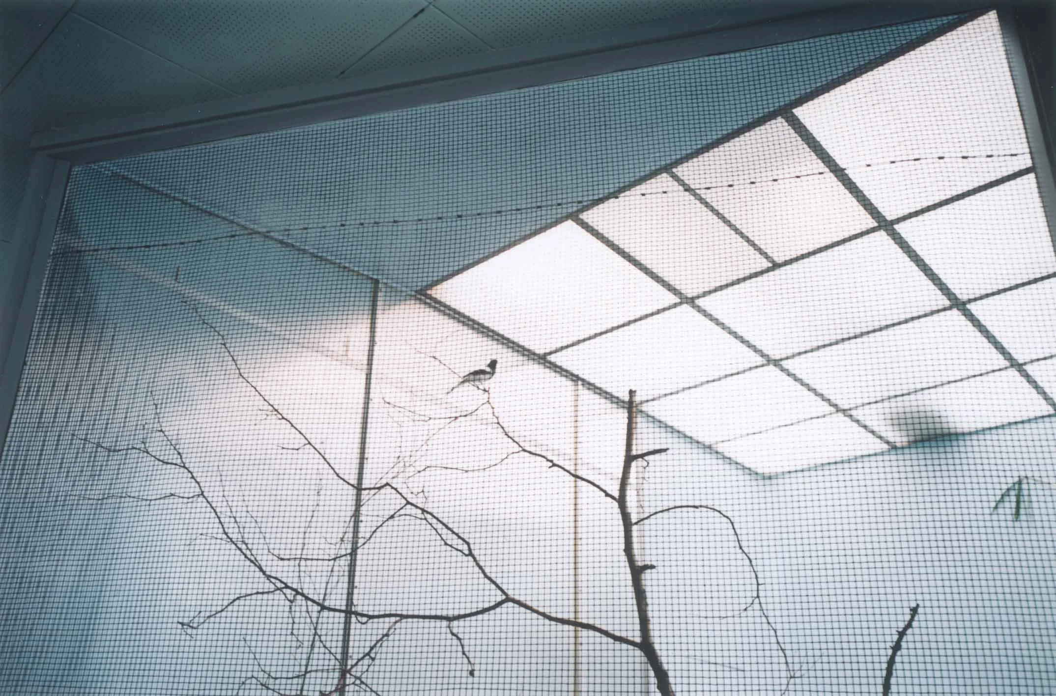 Candida Hofer Zoologischer Garten Philadelphia I 2000 2000 Colour Photograph: 26 x 40 cm