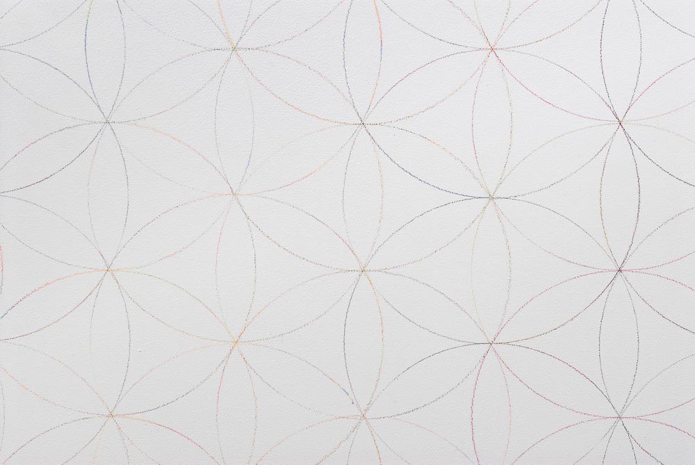     Untitled (Wall Drawing/ Markaba Rose) 2007 Coloured Pencil on Wall Dimensions Variable    