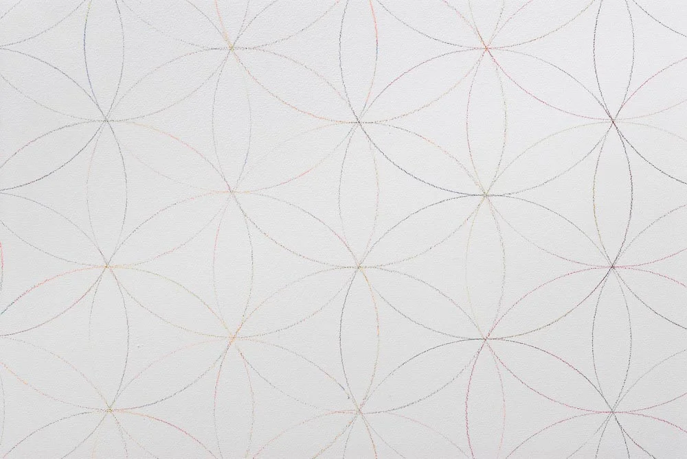 Untitled (Wall Drawing/ Markaba Rose) 2007 Coloured Pencil on Wall Dimensions Variable
