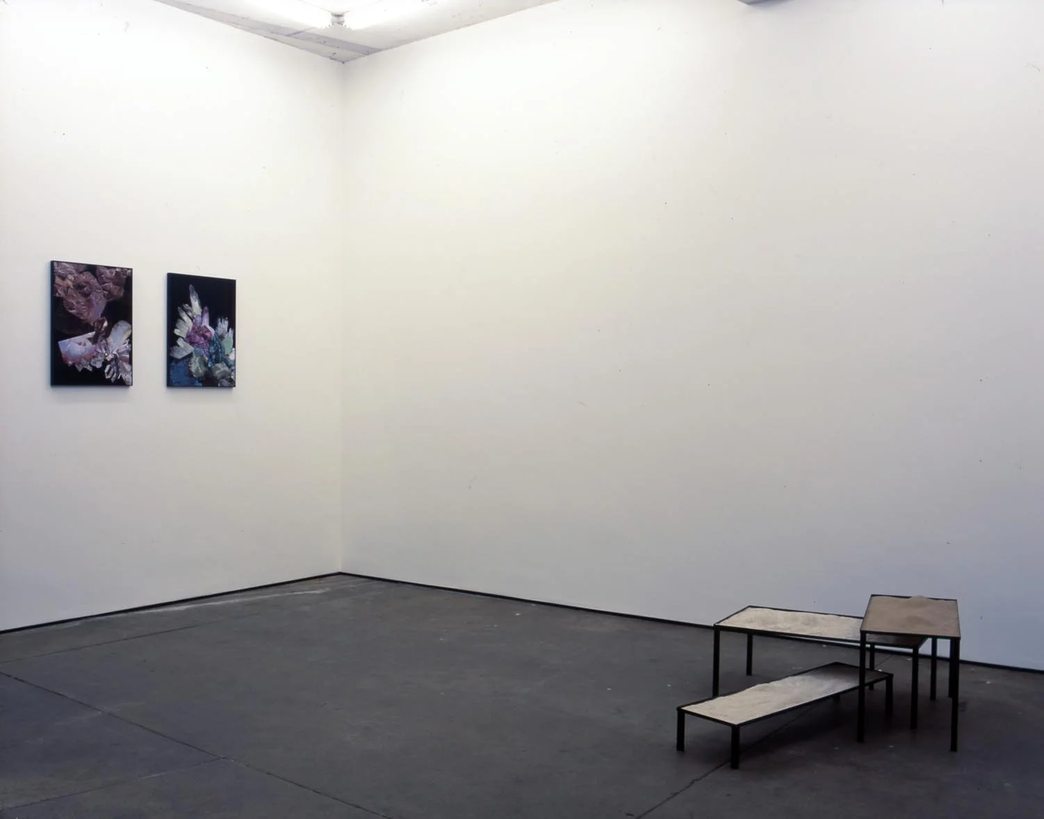 Installation View Herald St, London